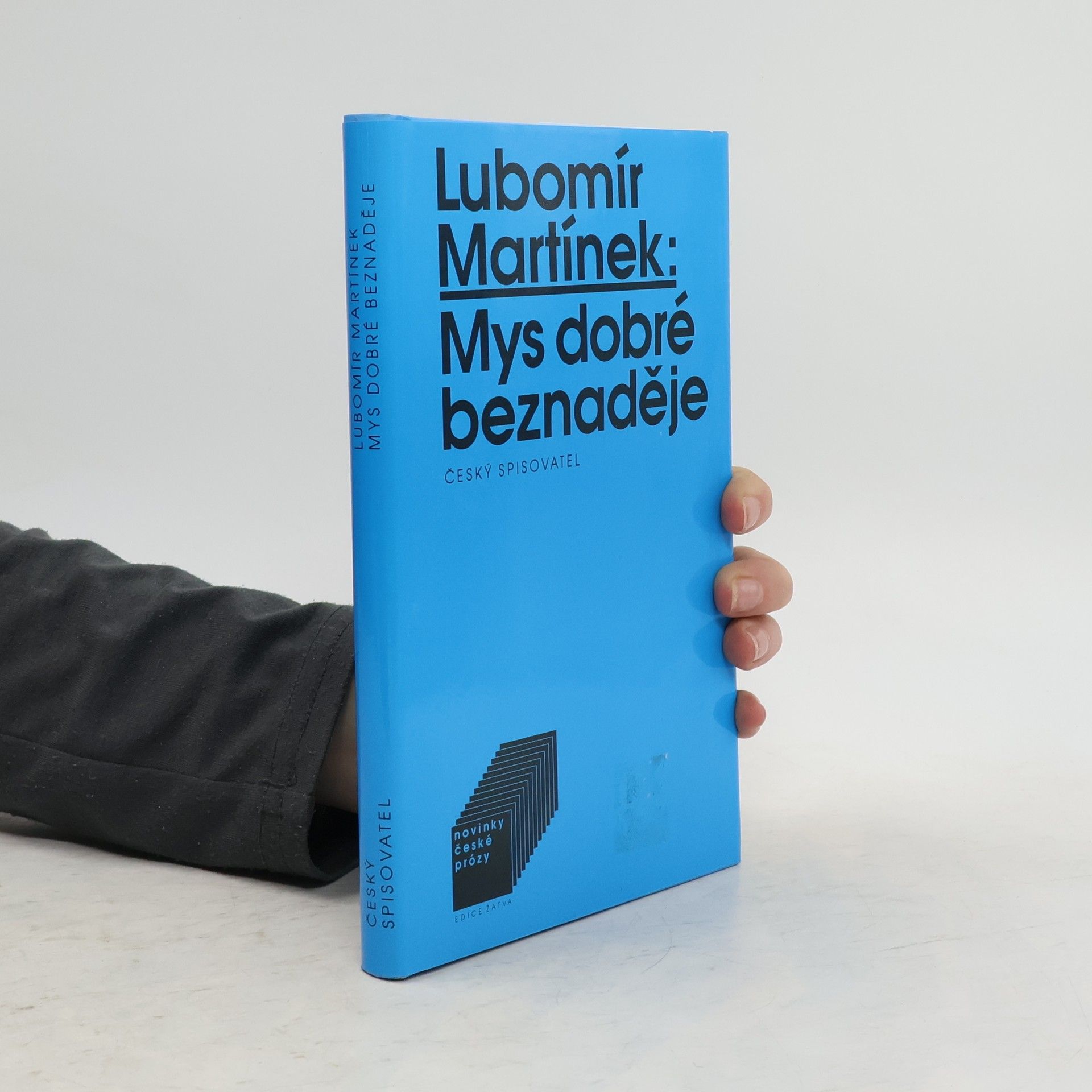 Lubomír Martínek Mys dobré beznaděje