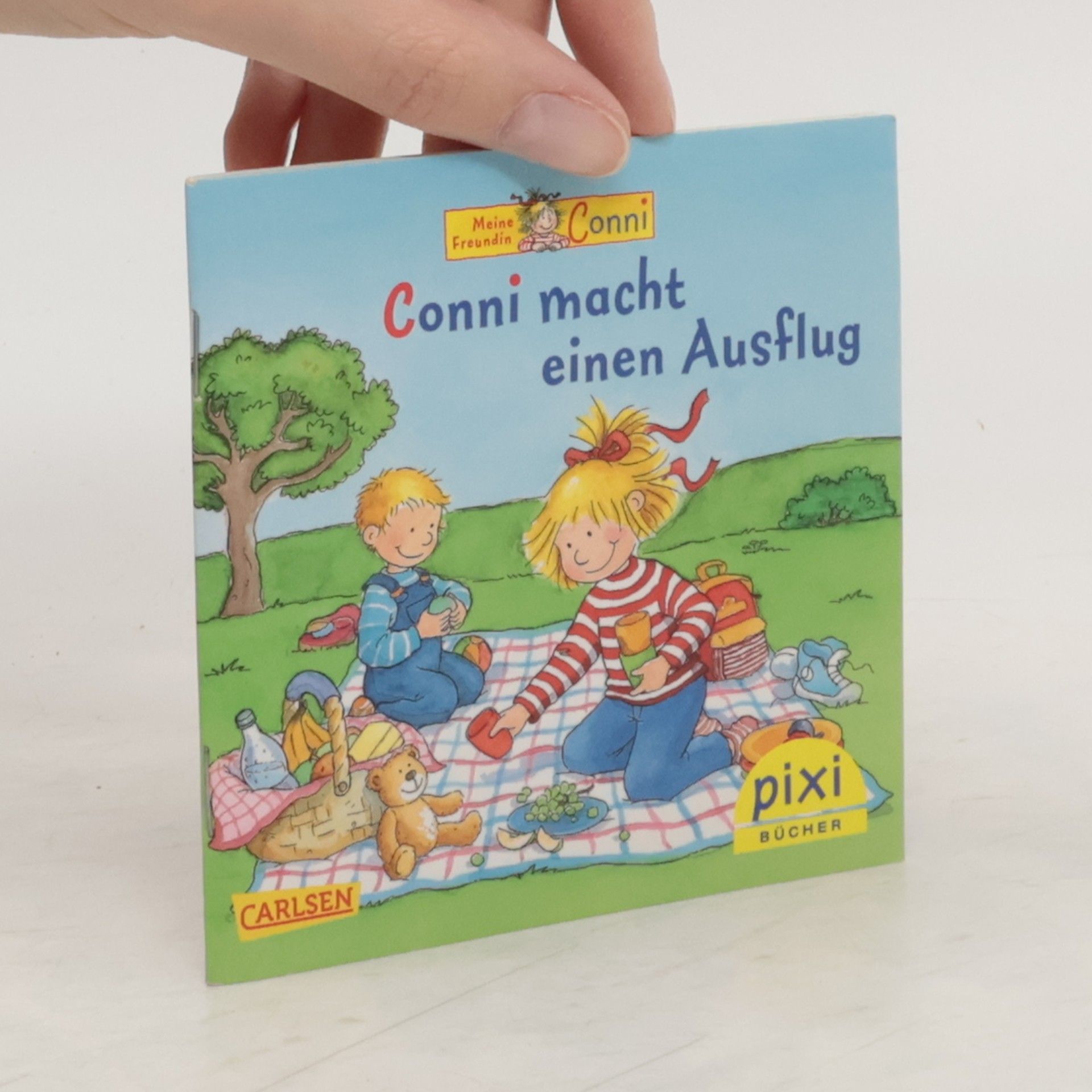 Annette Steinhauer Conni macht einen Ausflug