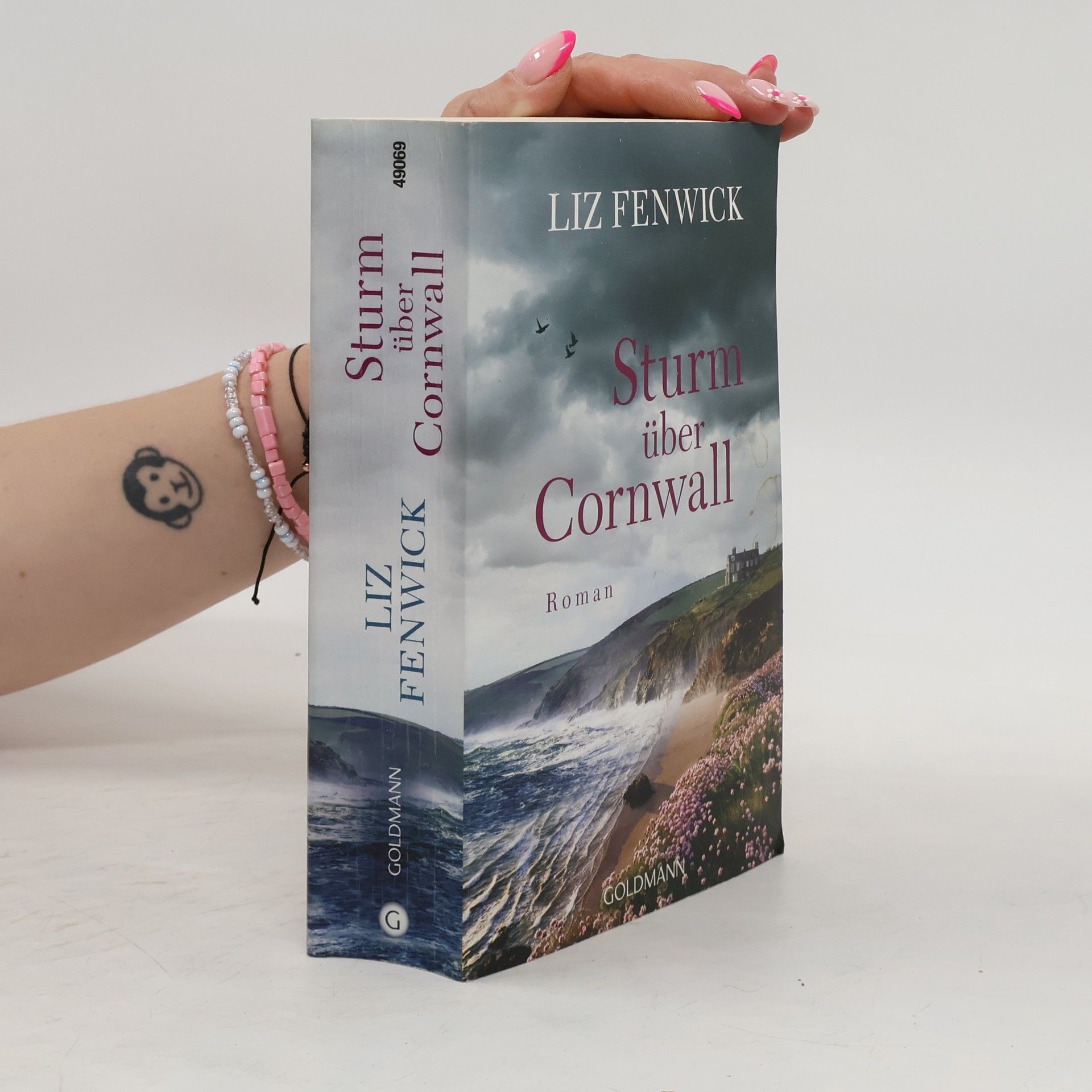 Liz Fenwick Sturm über Cornwall