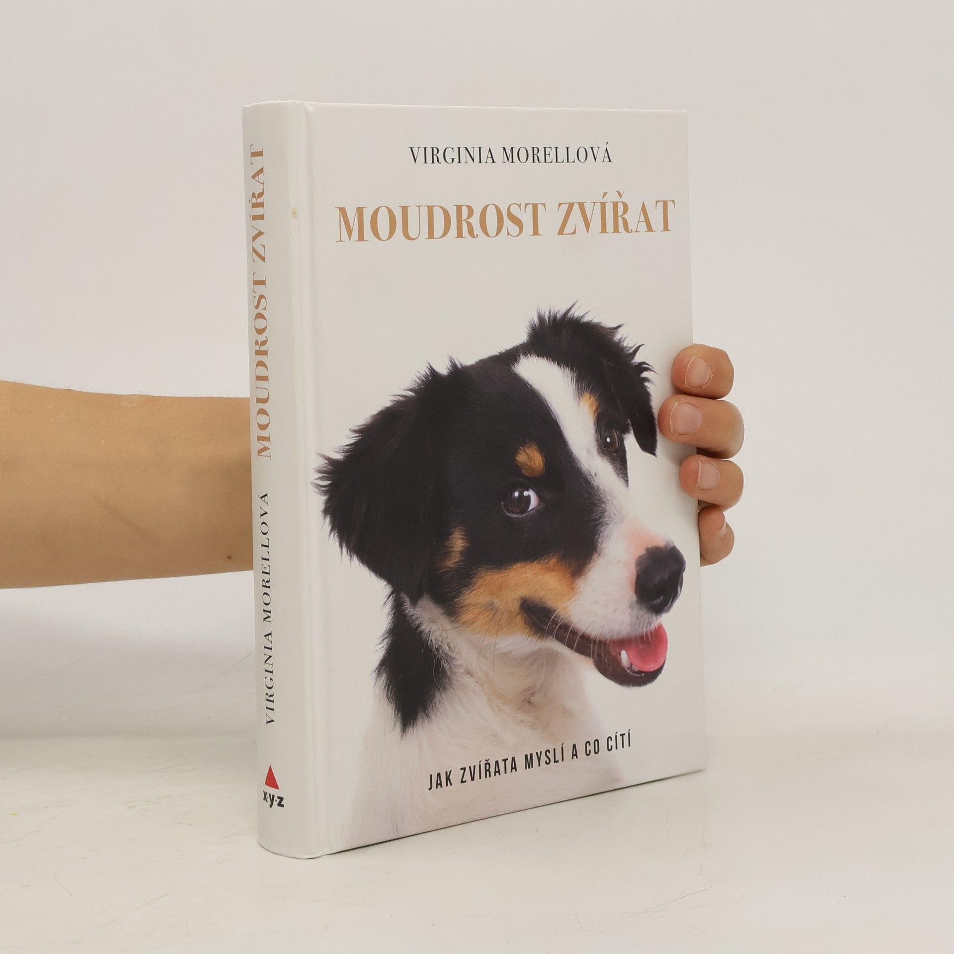 Moudrost zvířat - Jak zvířata myslí a co cítí