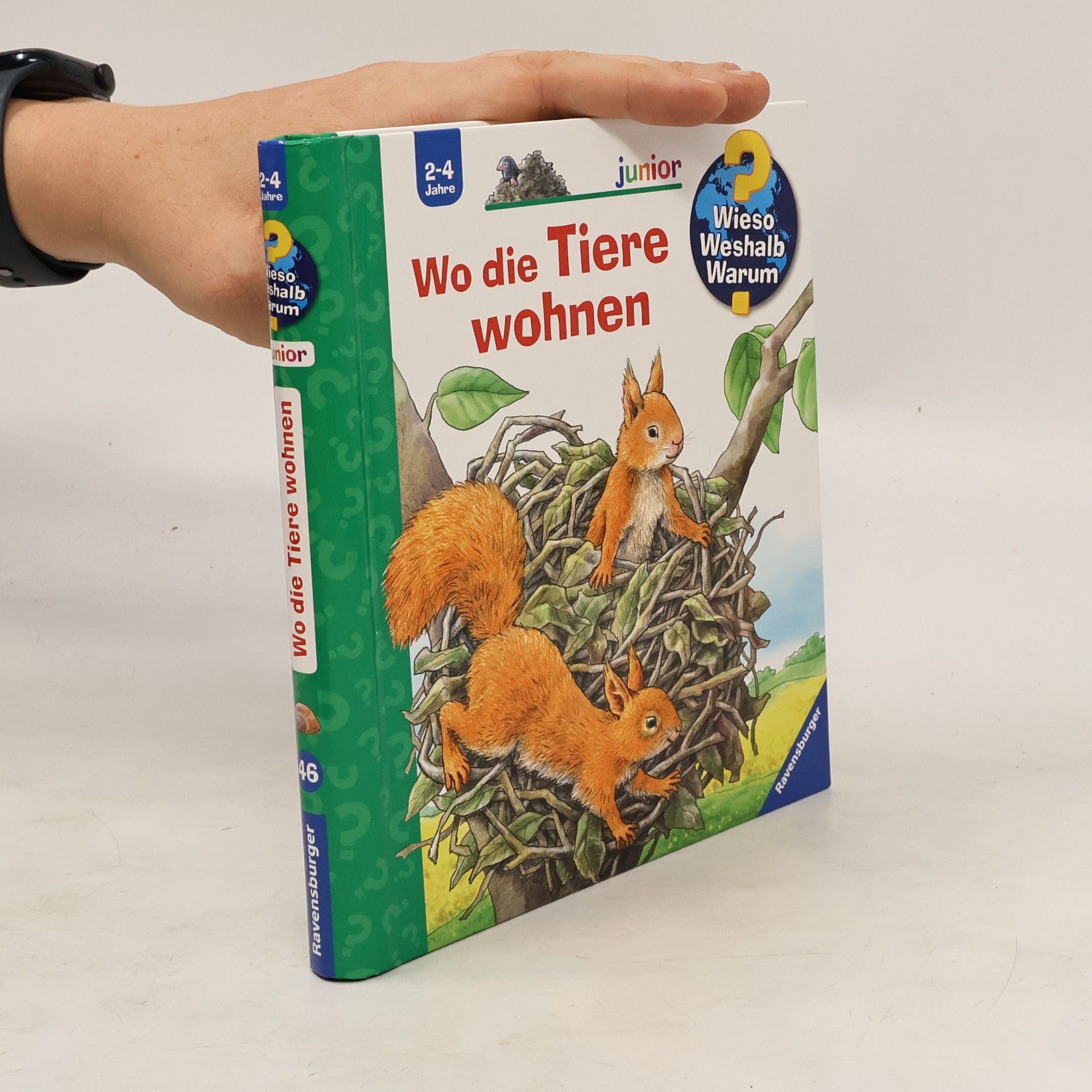 Anne Möller Wo die Tiere wohnen