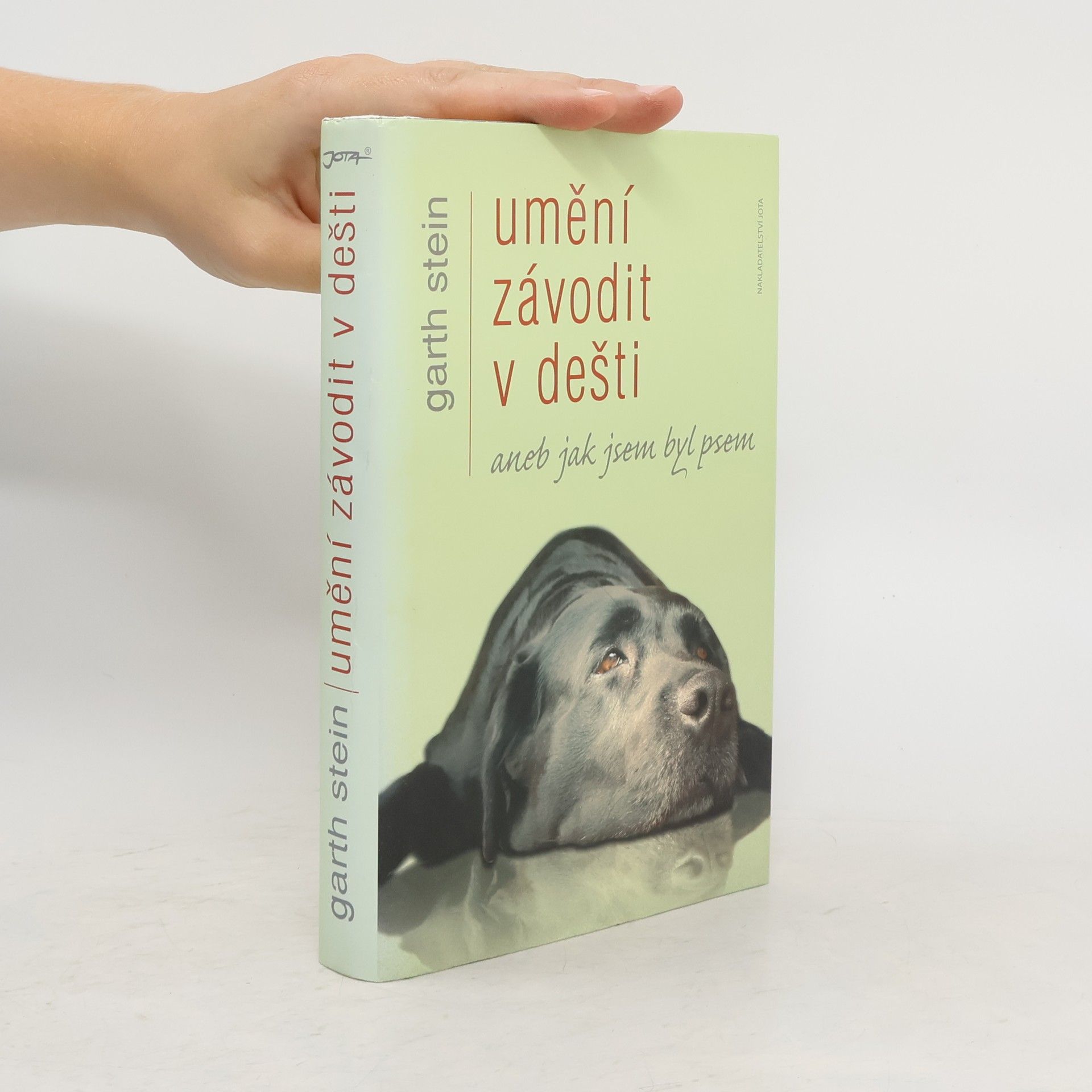 Garth Stein Umění závodit v dešti