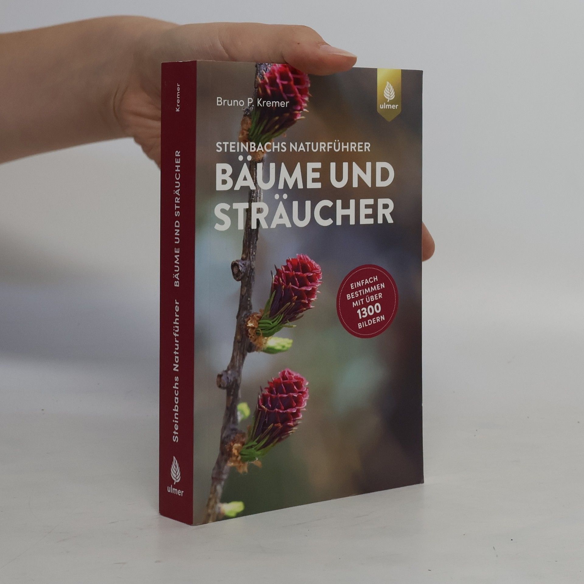 Bruno Kremer Steinbachs Naturführer Bäume und Sträucher