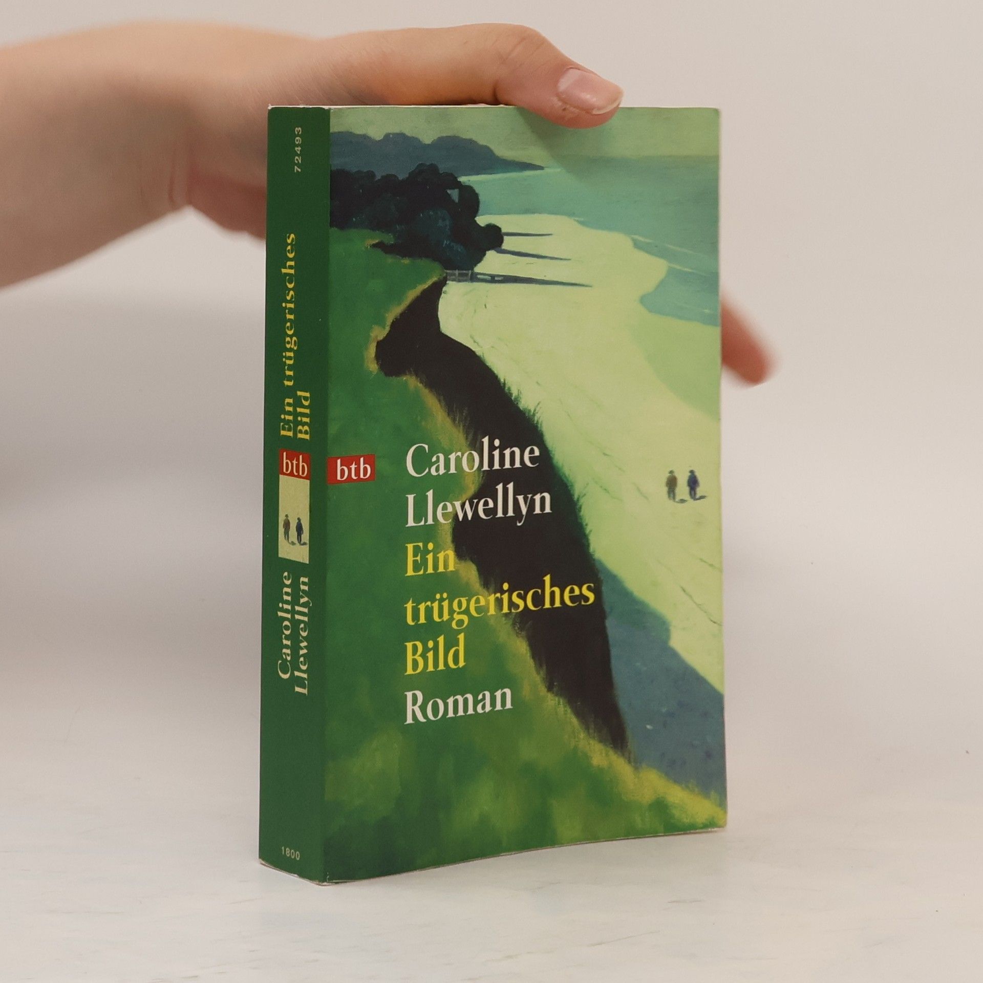 Caroline Llewellyn Ein trügerisches Bild