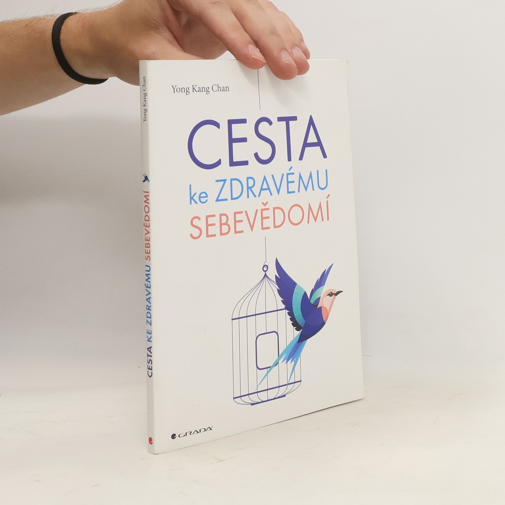 Yong Kang Chan Cesta ke zdravému sebevědomí