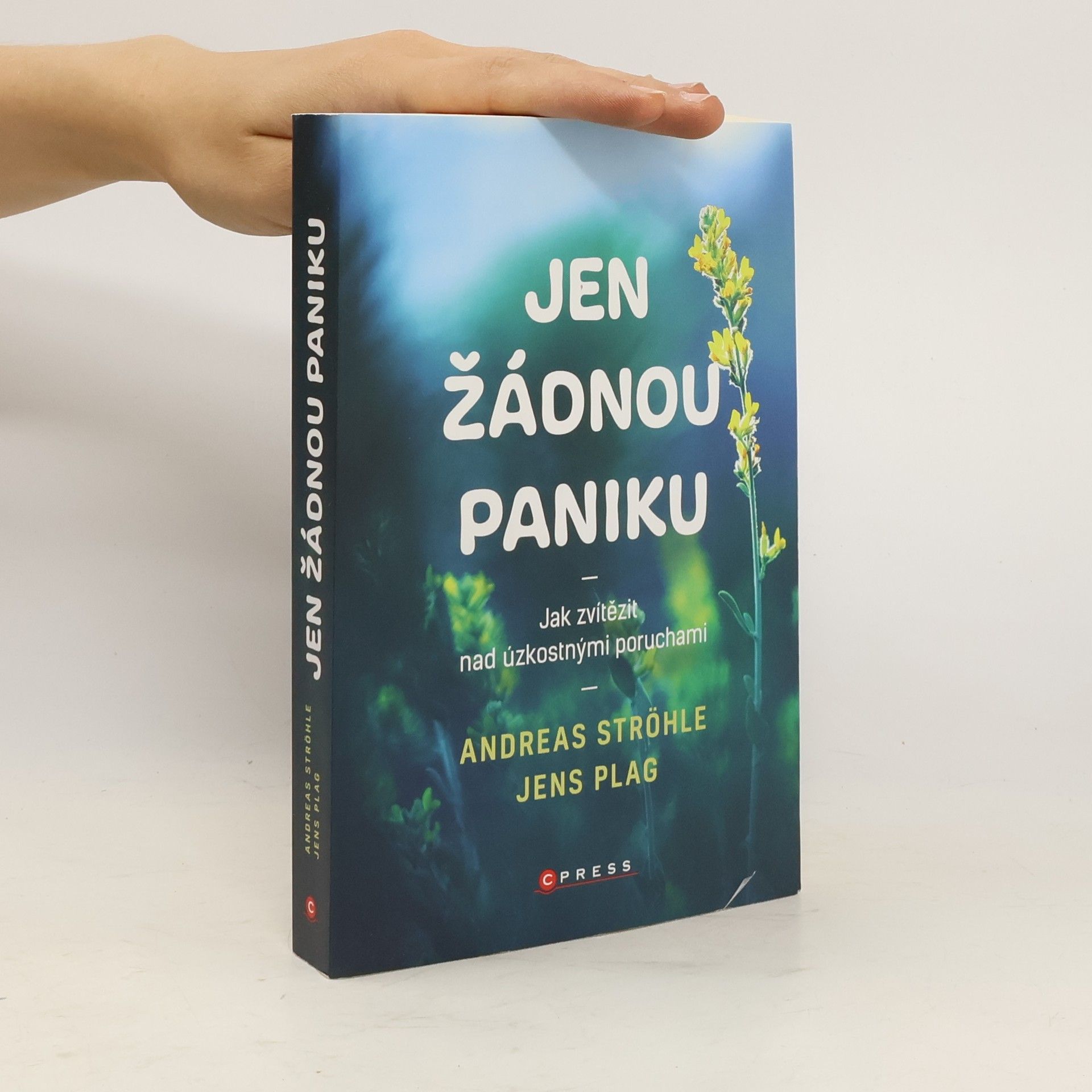 Andreas Ströhle Jen žádnou paniku. Jak zvítězit nad úzkostnými poruchami.