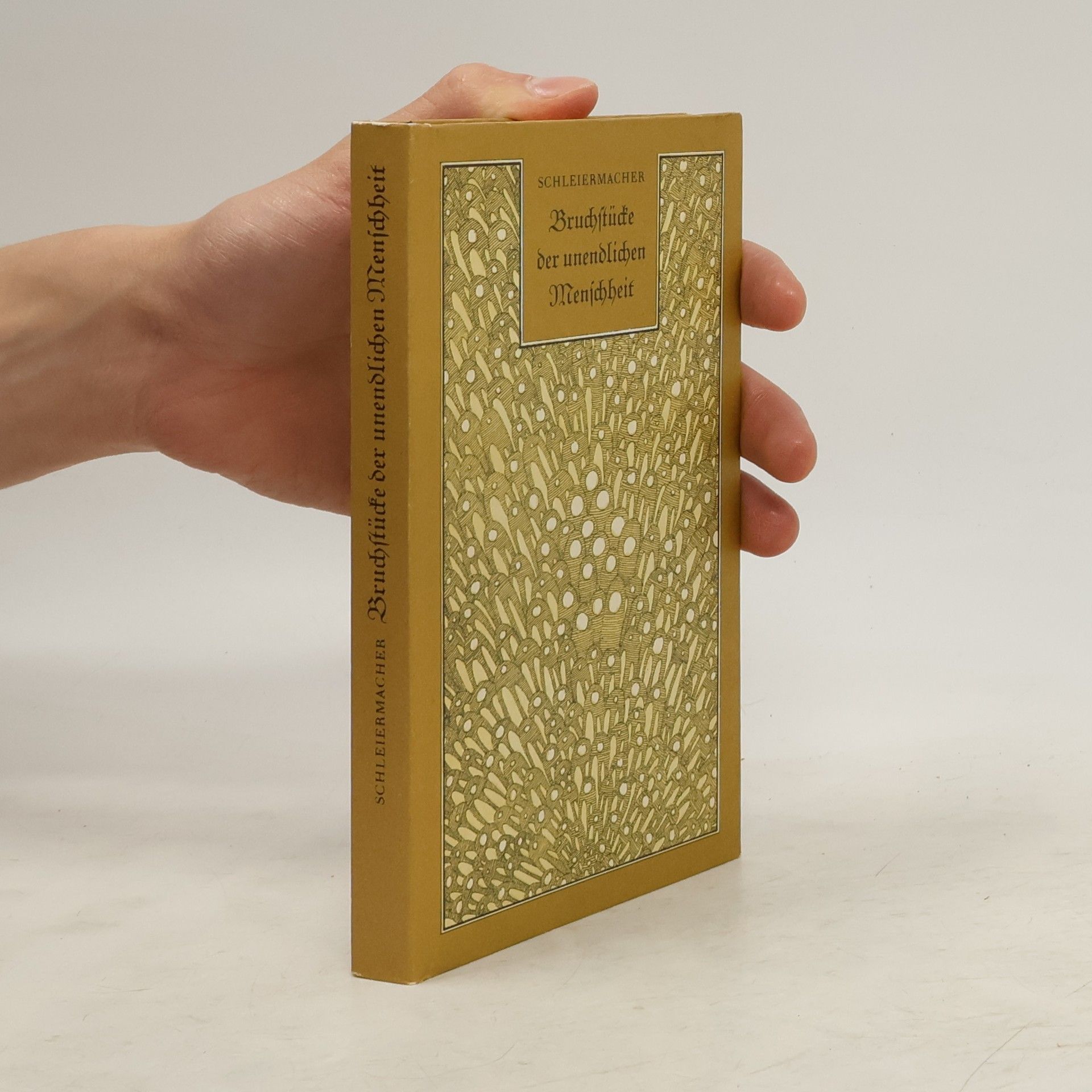 Friedrich Schleiermacher Bruchstücke der unendlichen Menschheit