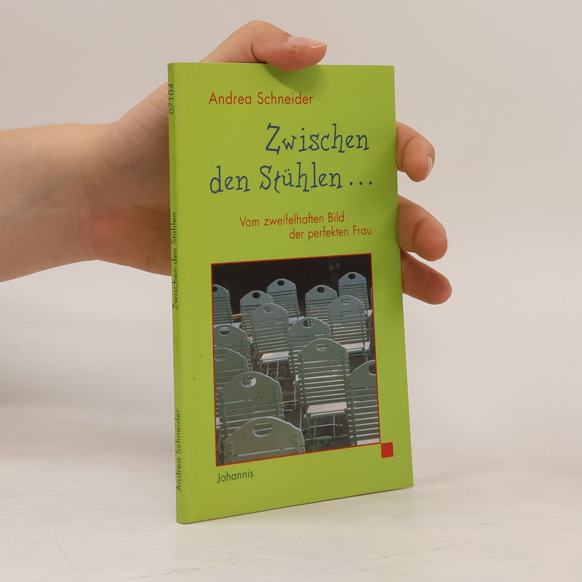 Andrea Schneider Zwischen den Stühlen
