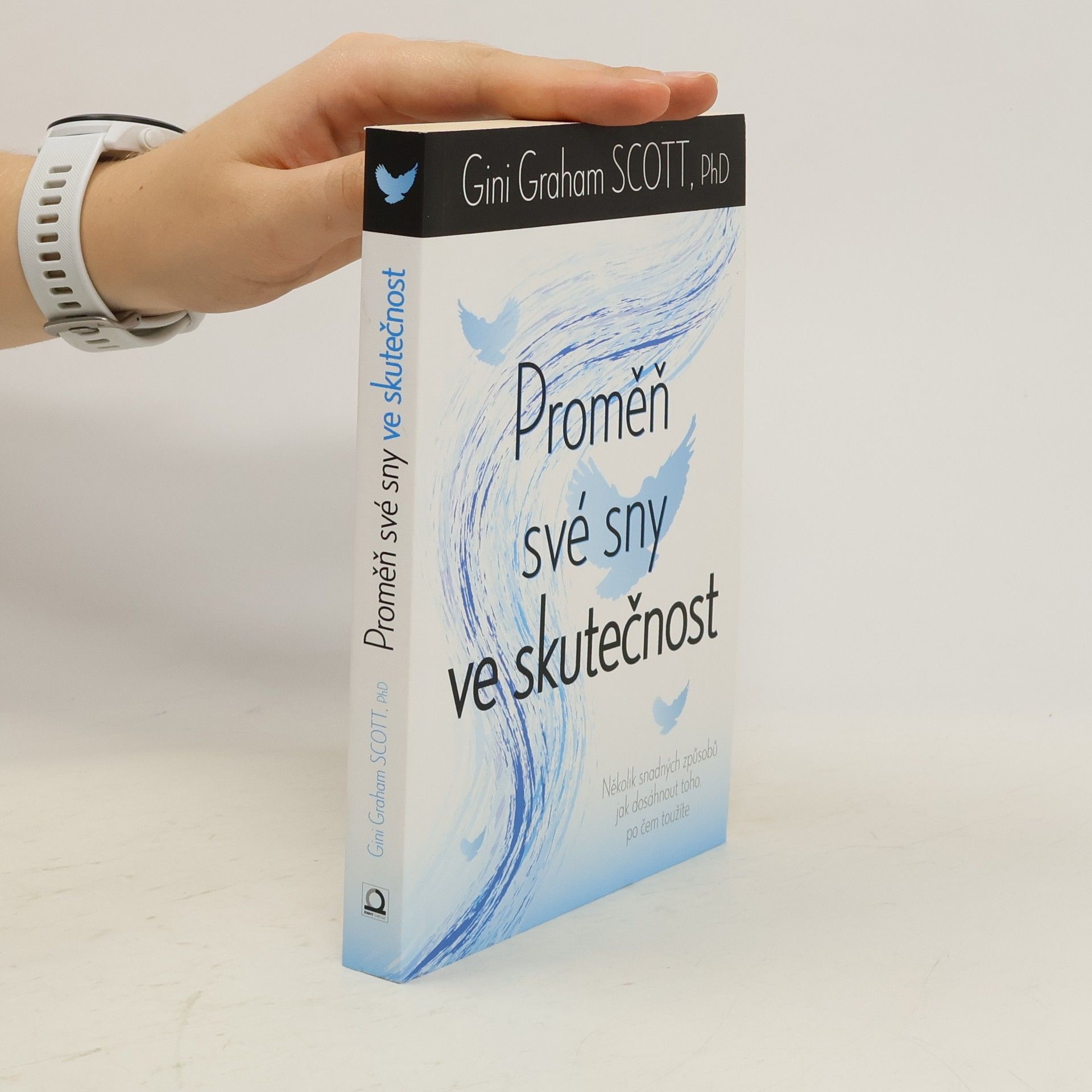 Gini Graham Scott Proměň své sny ve skutečnost : jak jednoduše získat, co chcete