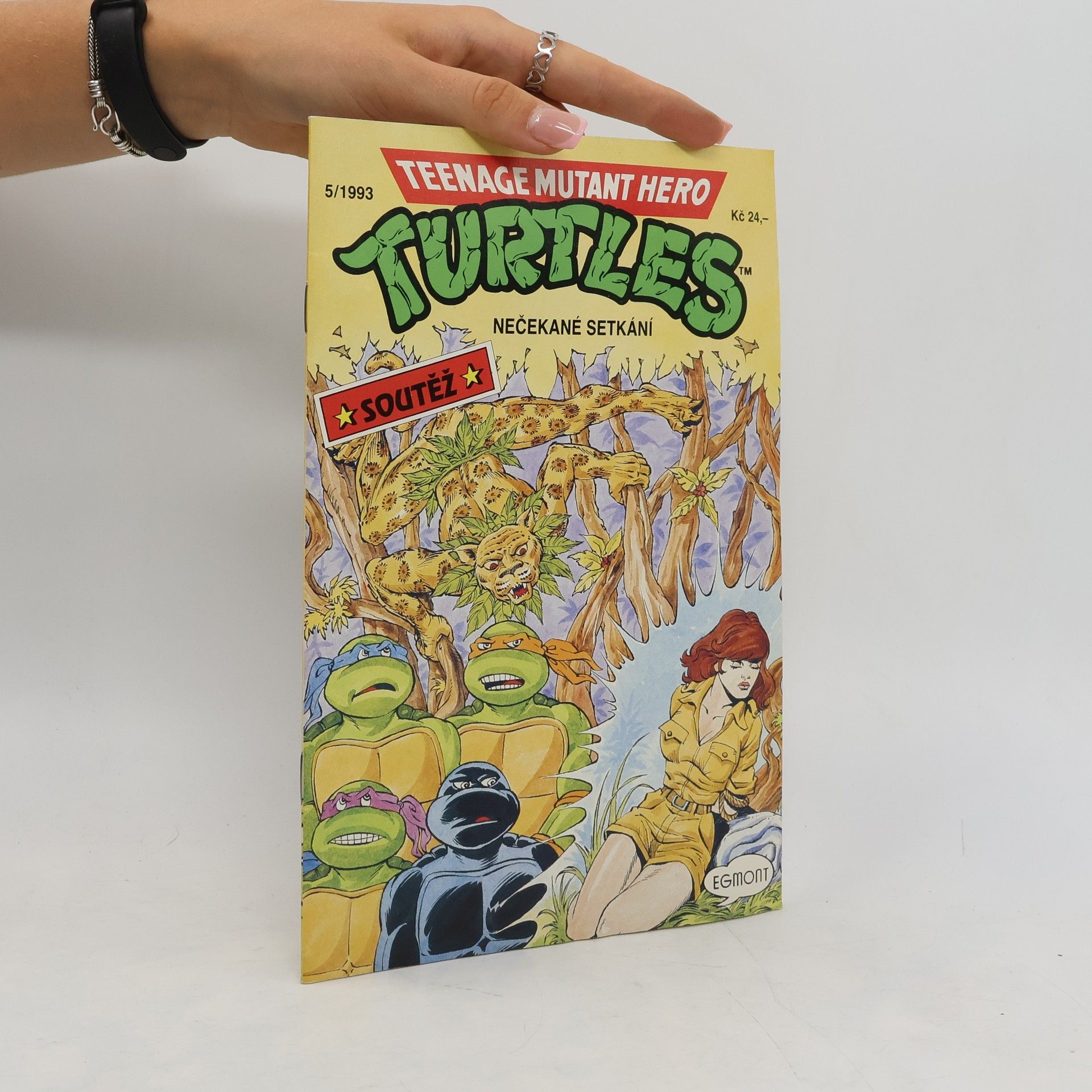 Kolektiv autorů Teenage Mutant Hero Turtles. Nečekané setkání. 5/1993