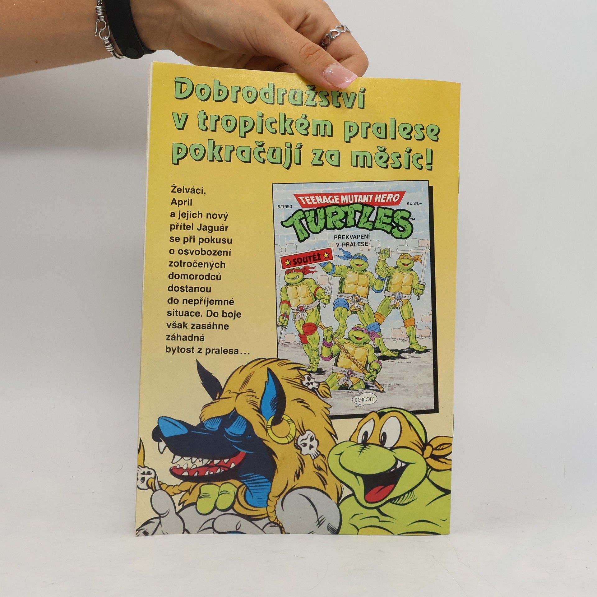 Kolektiv autorů Teenage Mutant Hero Turtles. Nečekané setkání. 5/1993