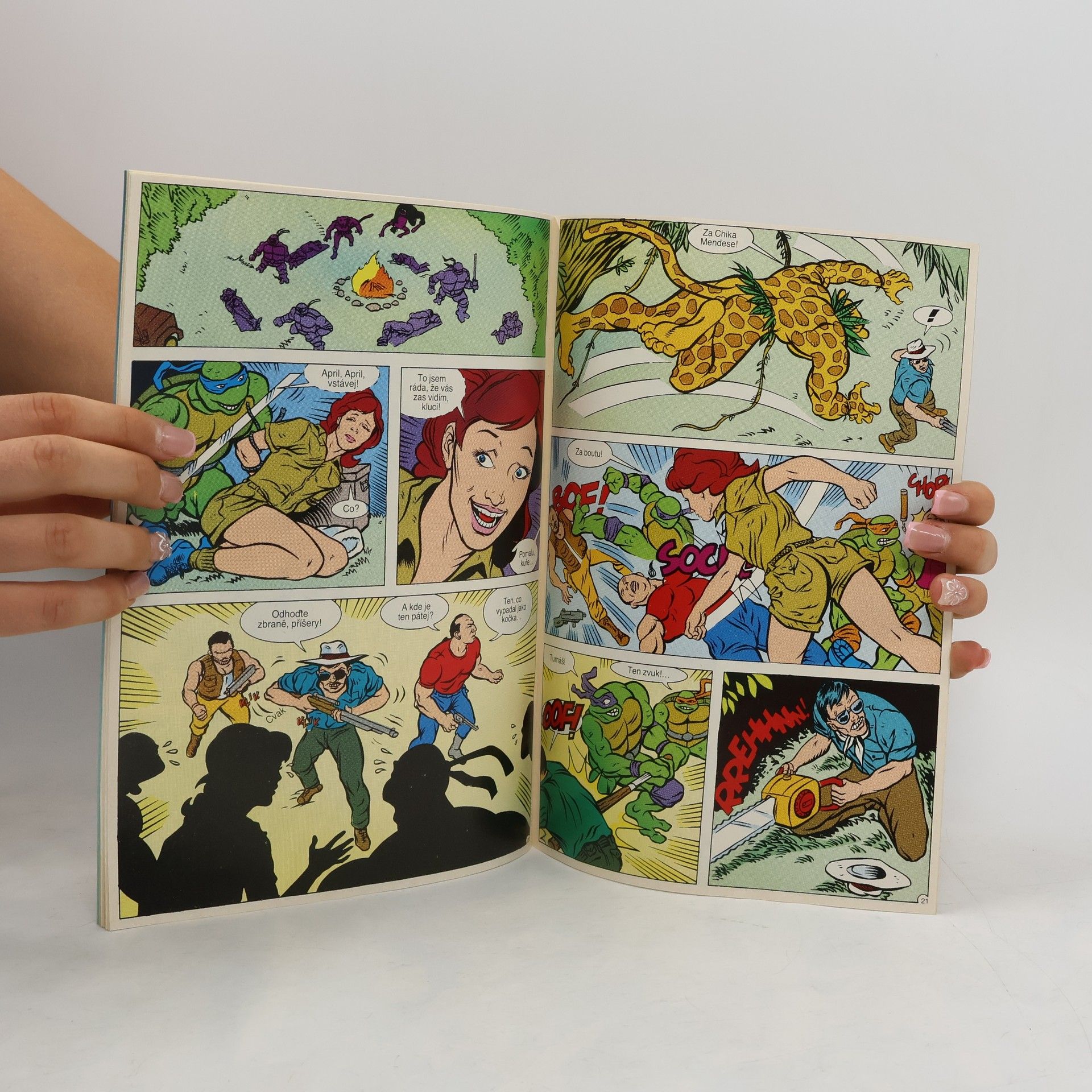 Kolektiv autorů Teenage Mutant Hero Turtles. Nečekané setkání. 5/1993