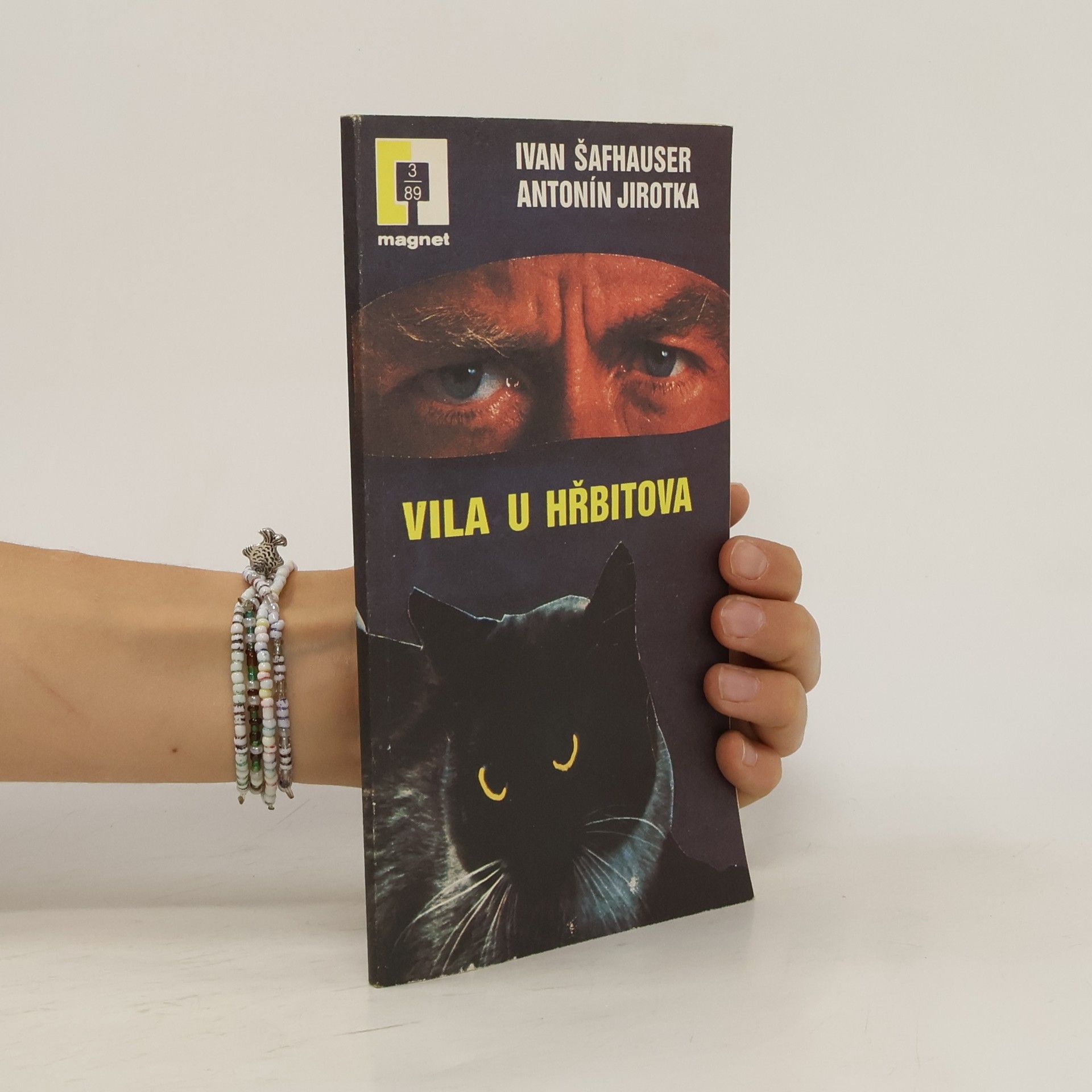 Ivan Šafhauser Vila u hřbitova