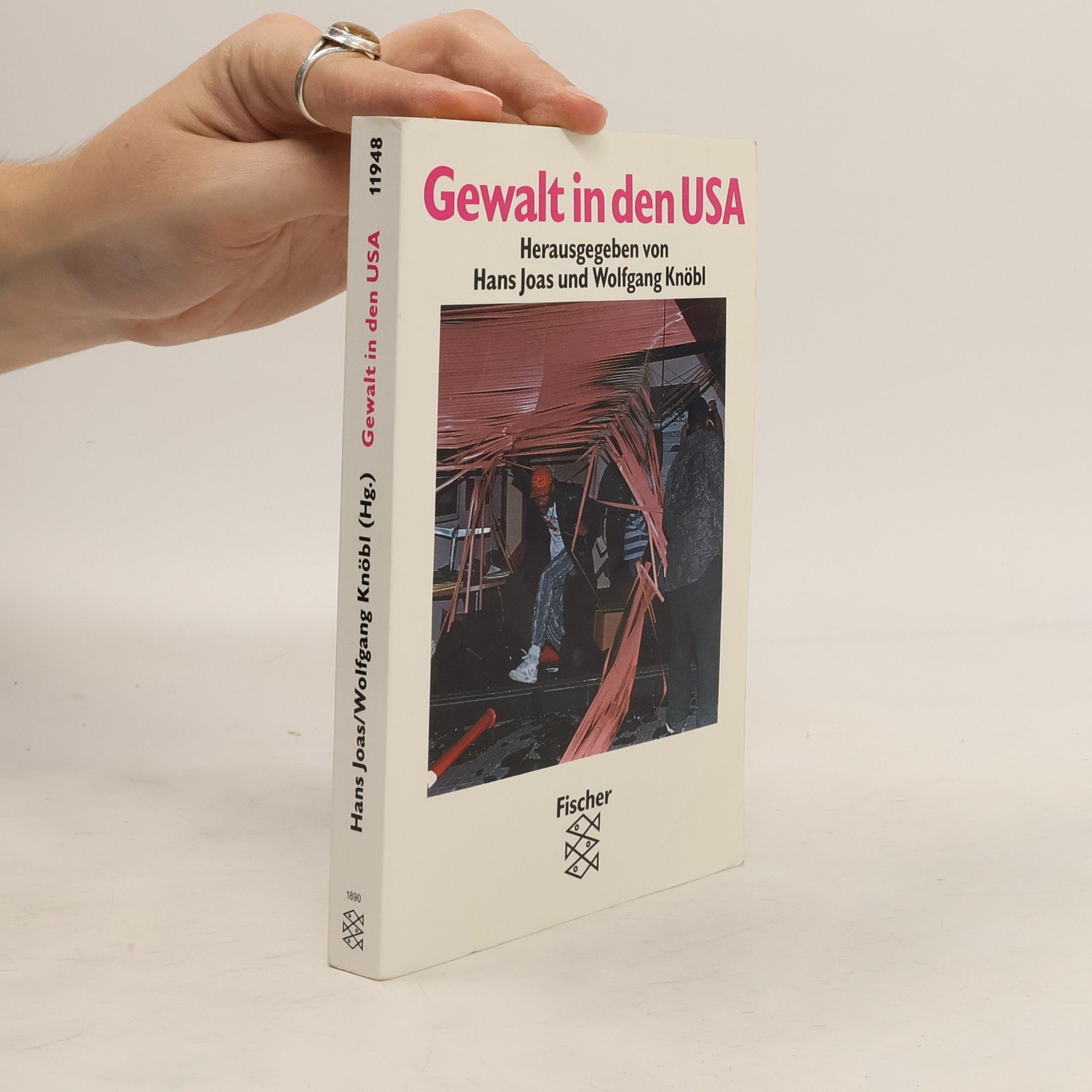 Hans Joas Gewalt in den USA