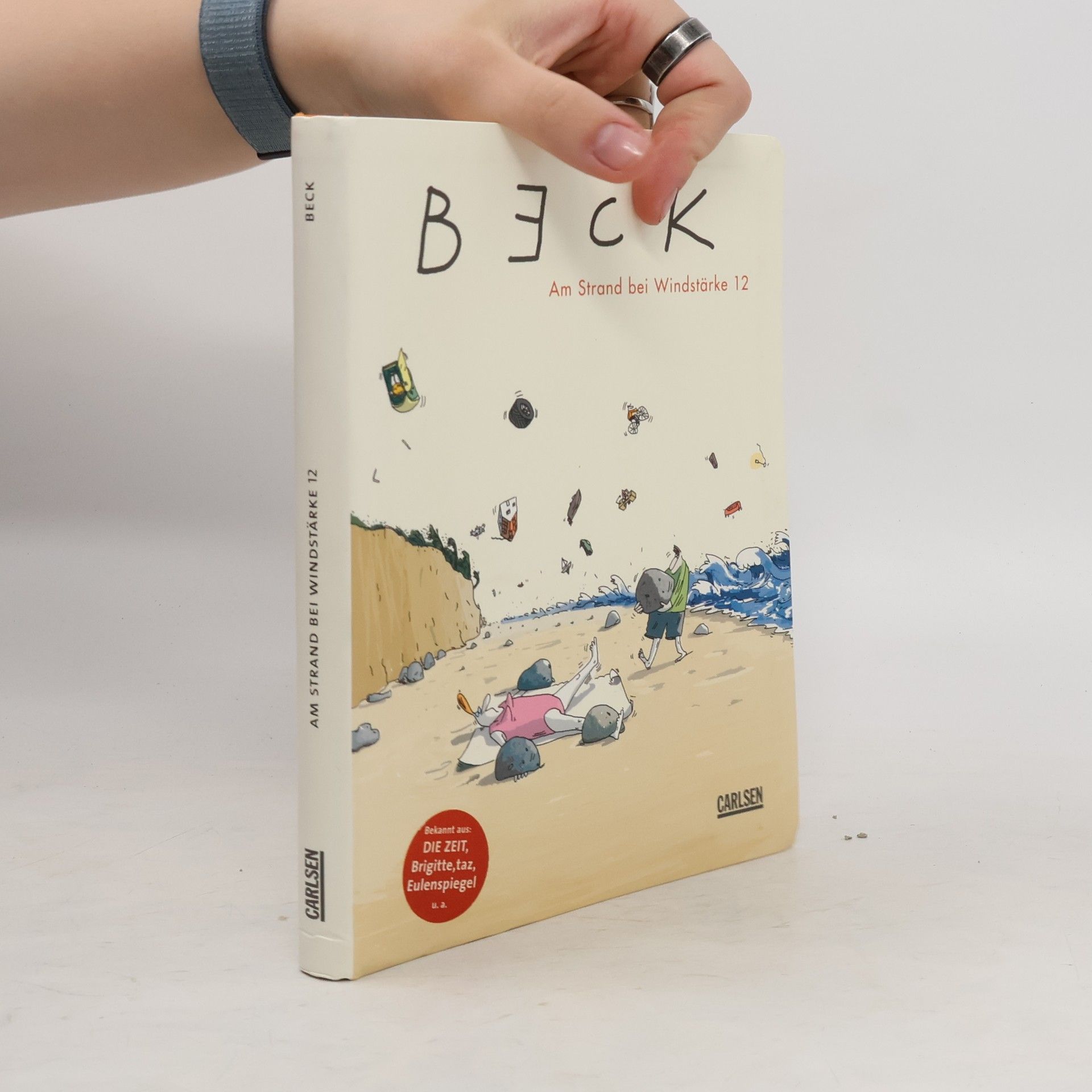Beck Am Strand bei Windstärke 12