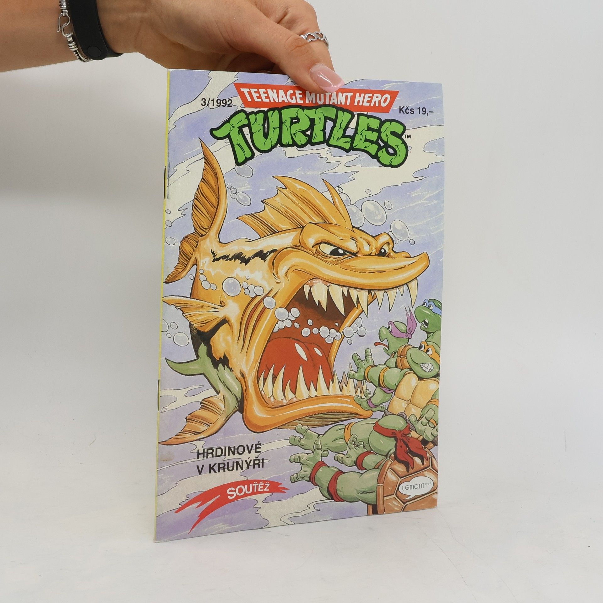 Michael Dooney Teenage Mutant Hero Turtles #03