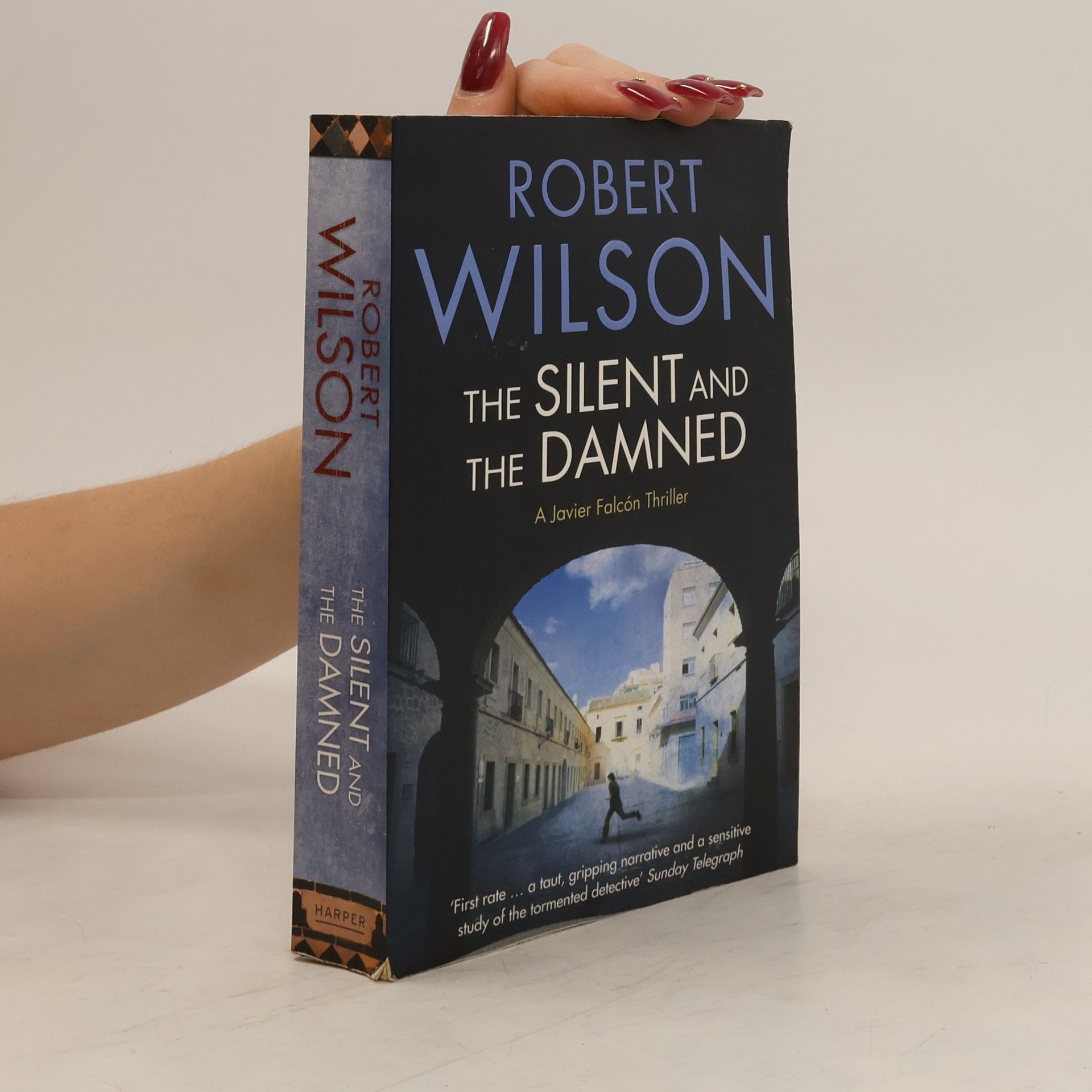 Robin Wilson The Silent and the Damned
