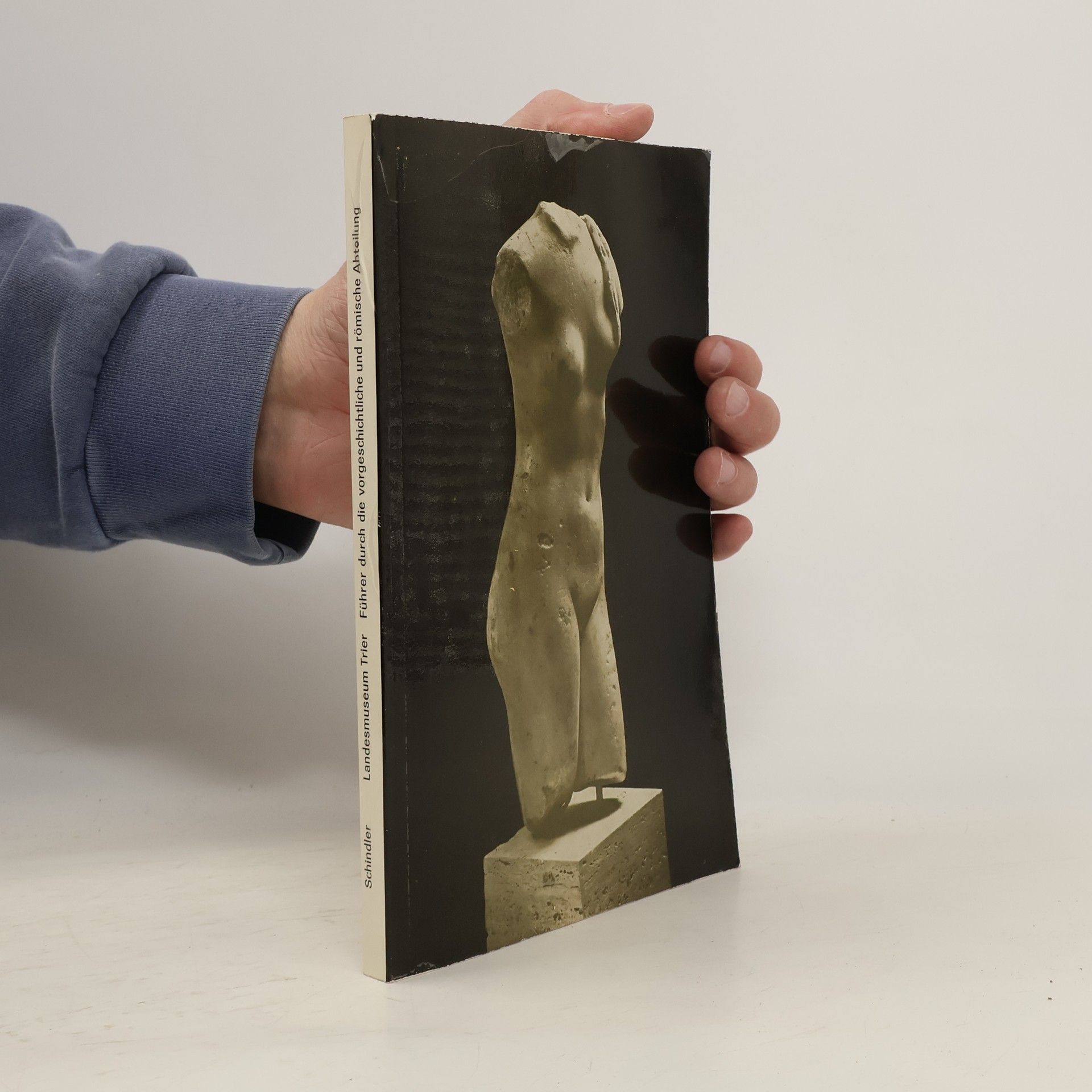 Reinhard Schindler Landesmuseum Trier : Führer durch die Vorgeschichtliche und römische Abteilung