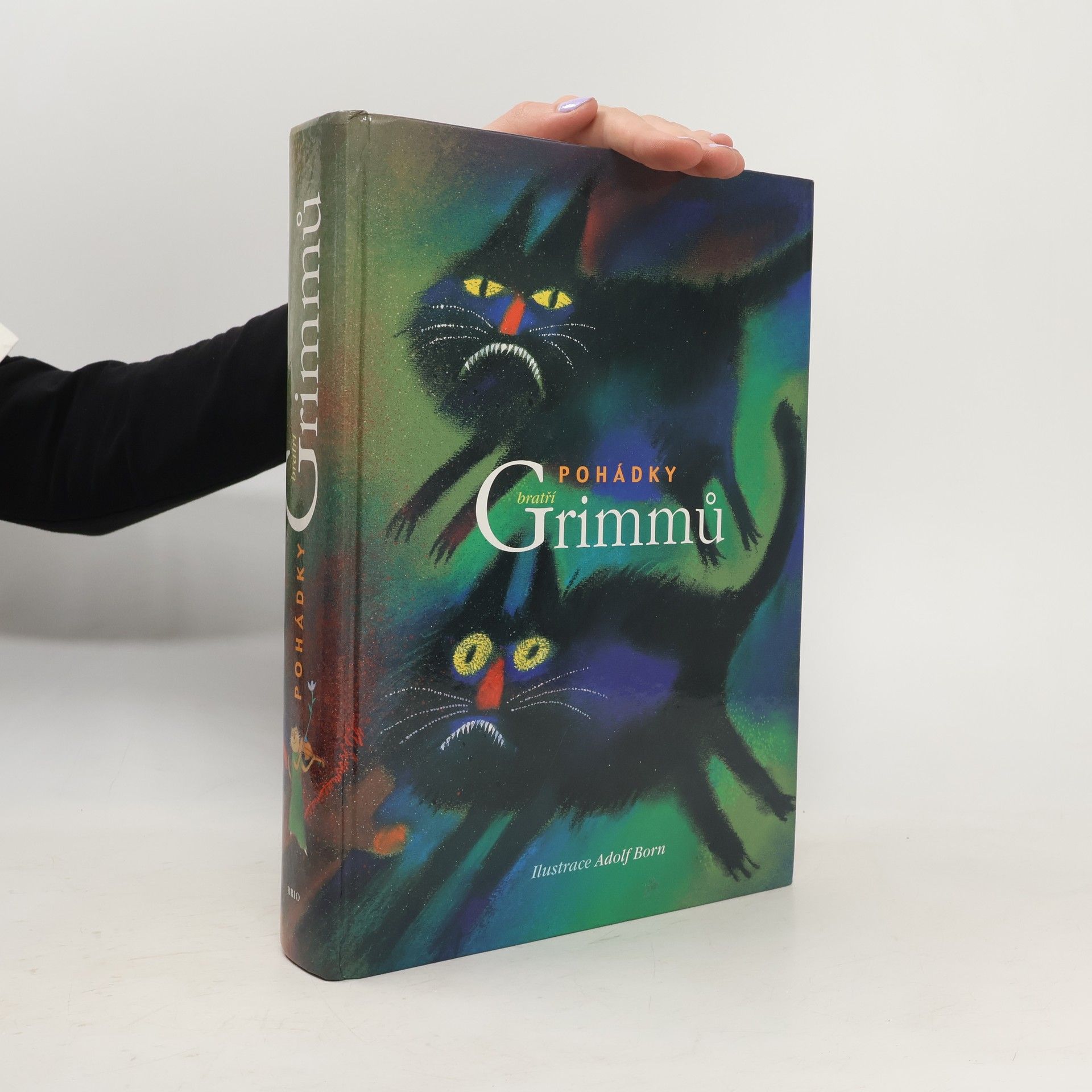 Jacob Ludwig Karl Grimm Pohádky bratří Grimmů