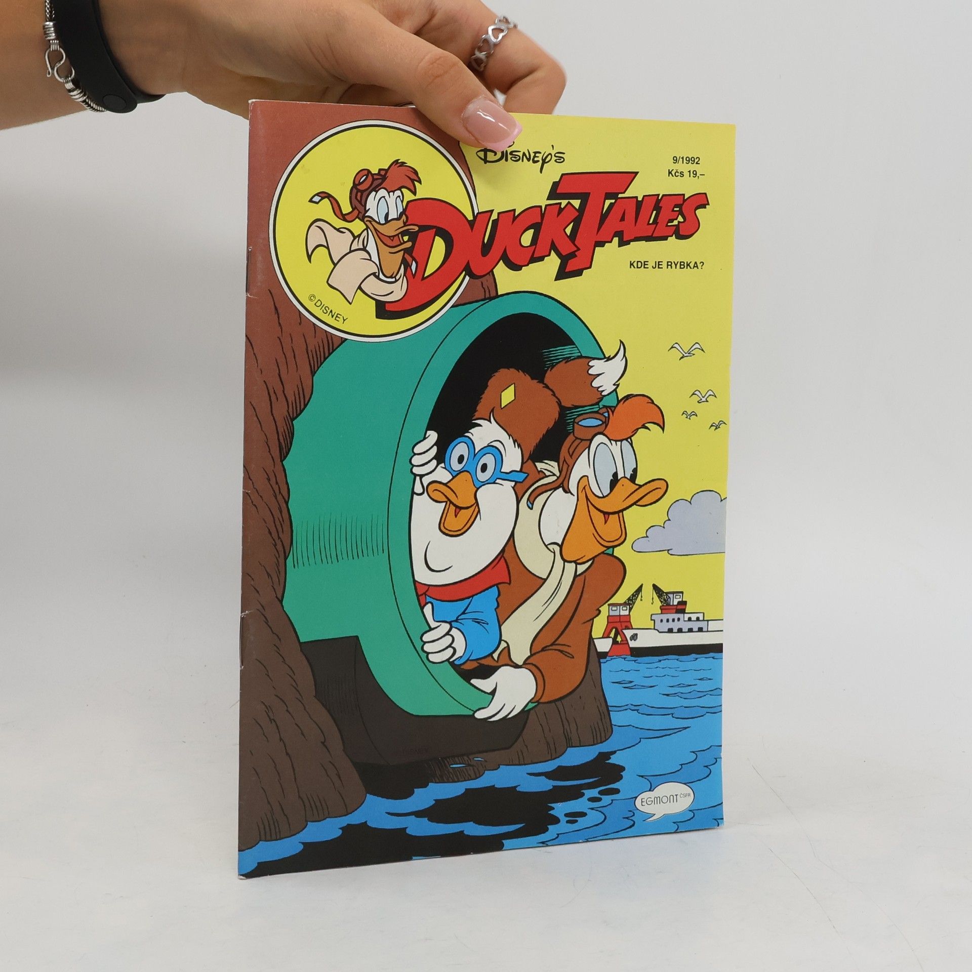 Collectif d'auteurs Kde je rybka. Duck Tales