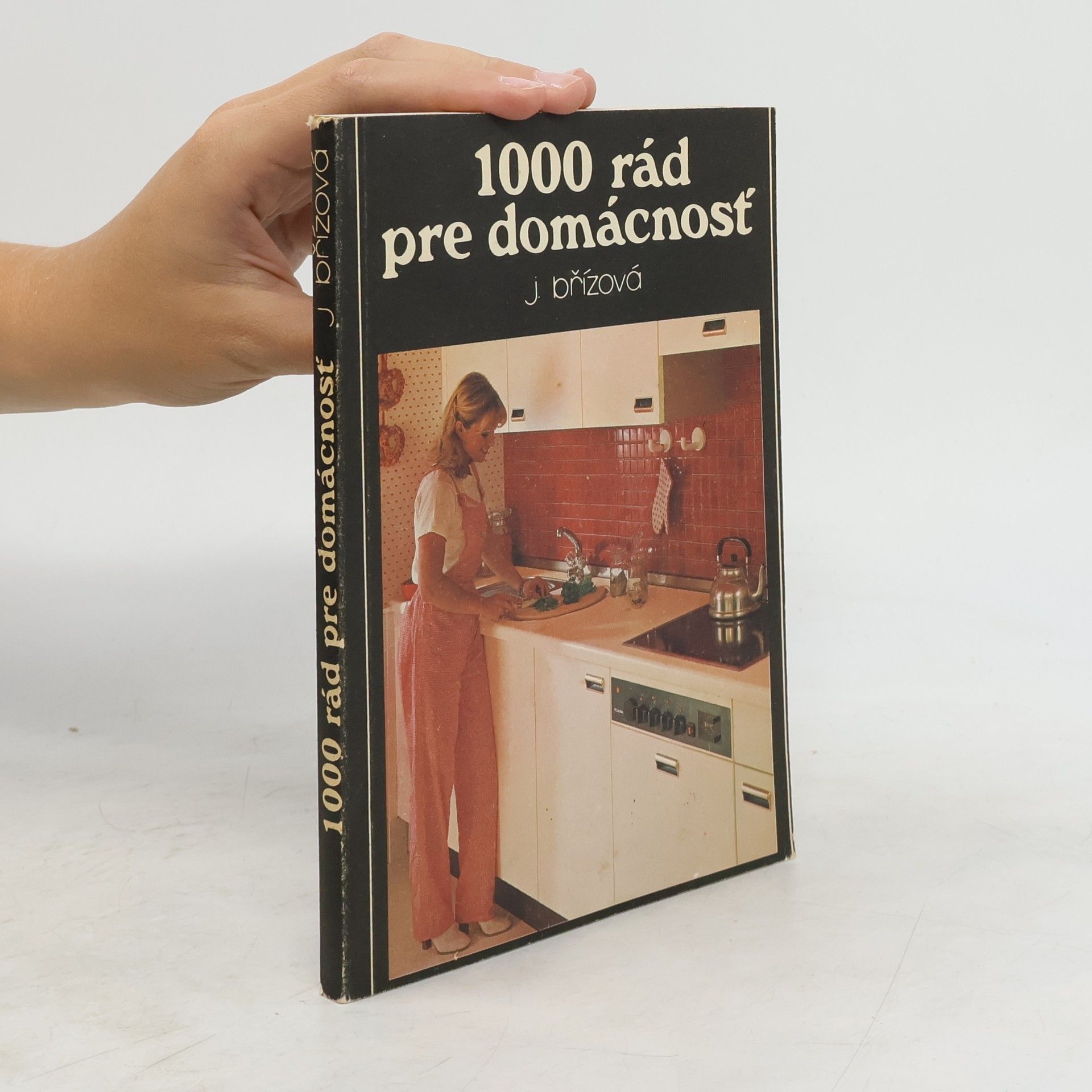 J. Břízová 1000 rád pre domácnosť
