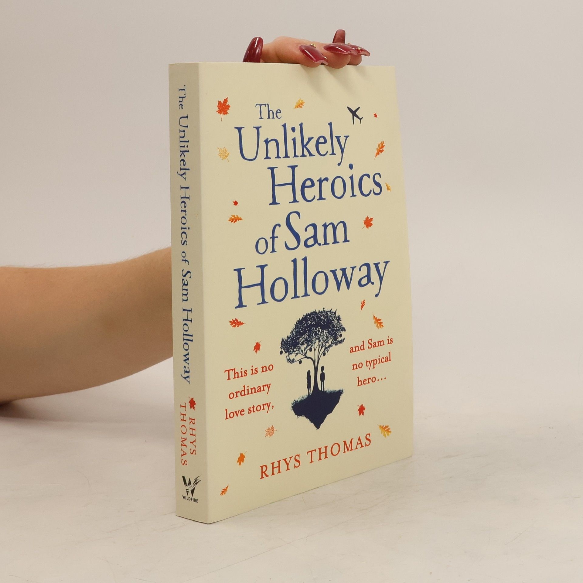 Rhys Thomas The Unlikely Heroics of Sam Holloway
