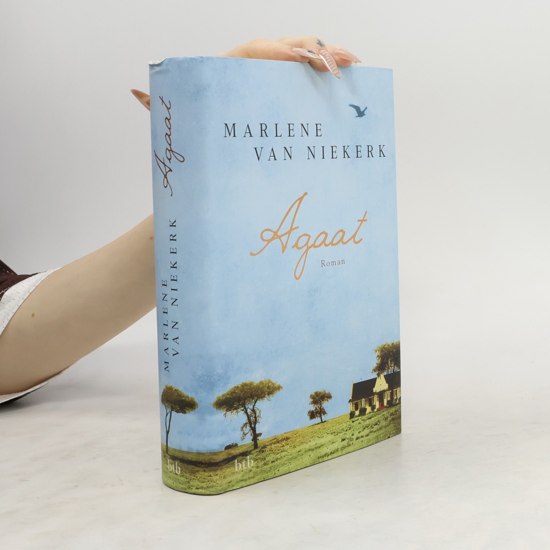 Marlene van Niekerk Agaat