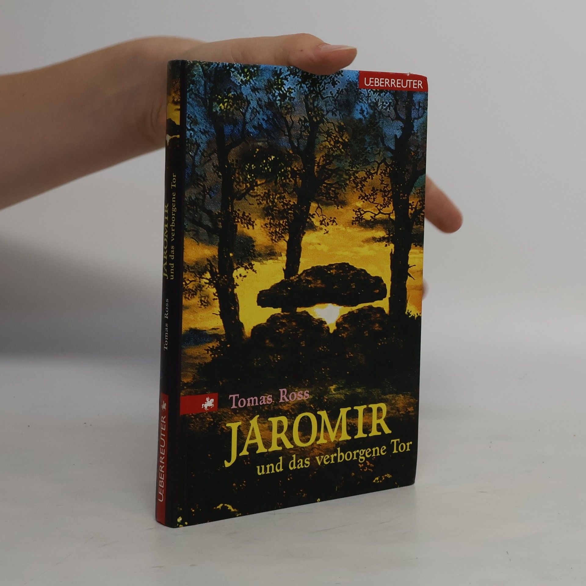 Tomas Ross Jaromir und das verborgene Tor