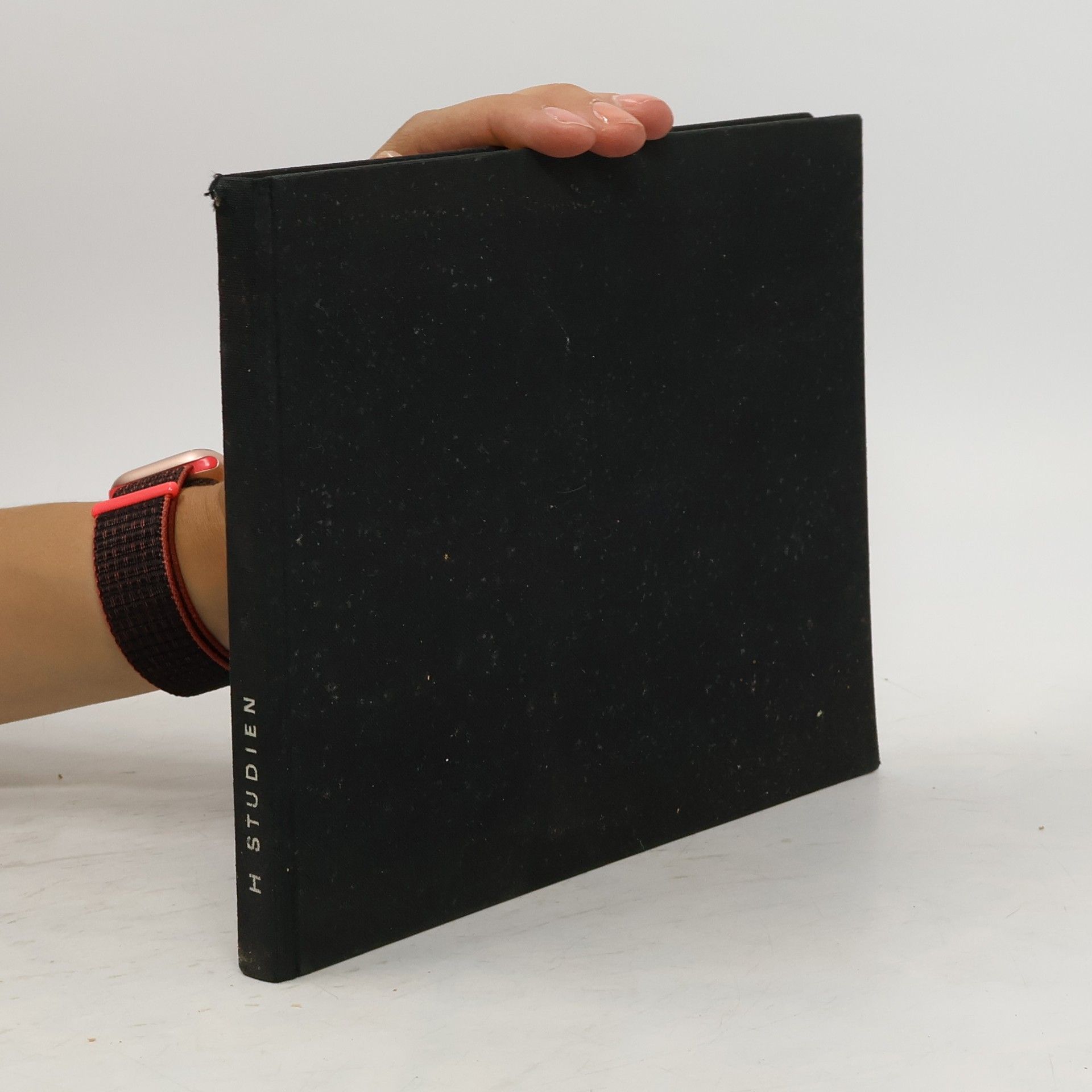 Joachim Pauly Perversion und Ausschweifung