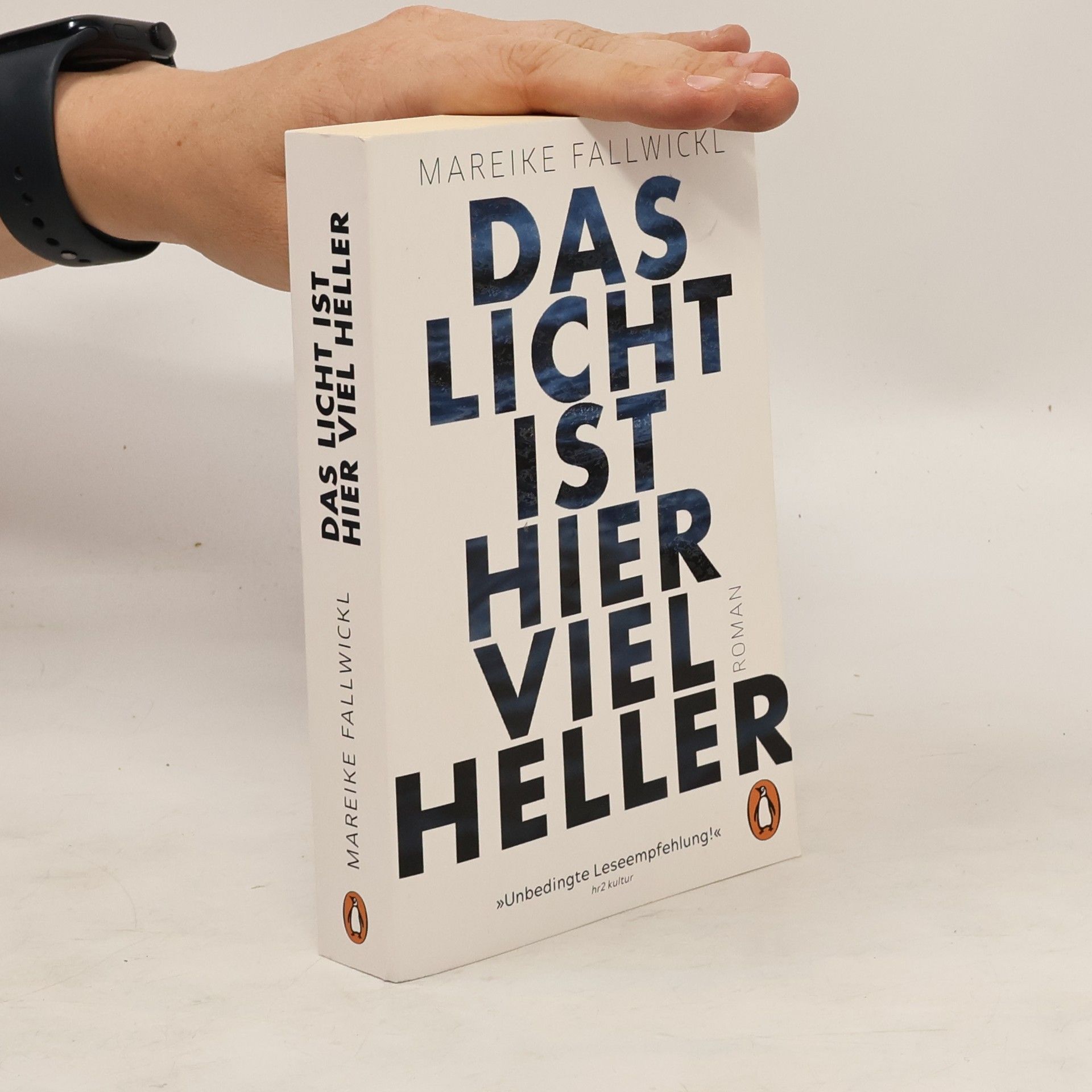 Mareike Fallwickl Das licht ist hier viel heller