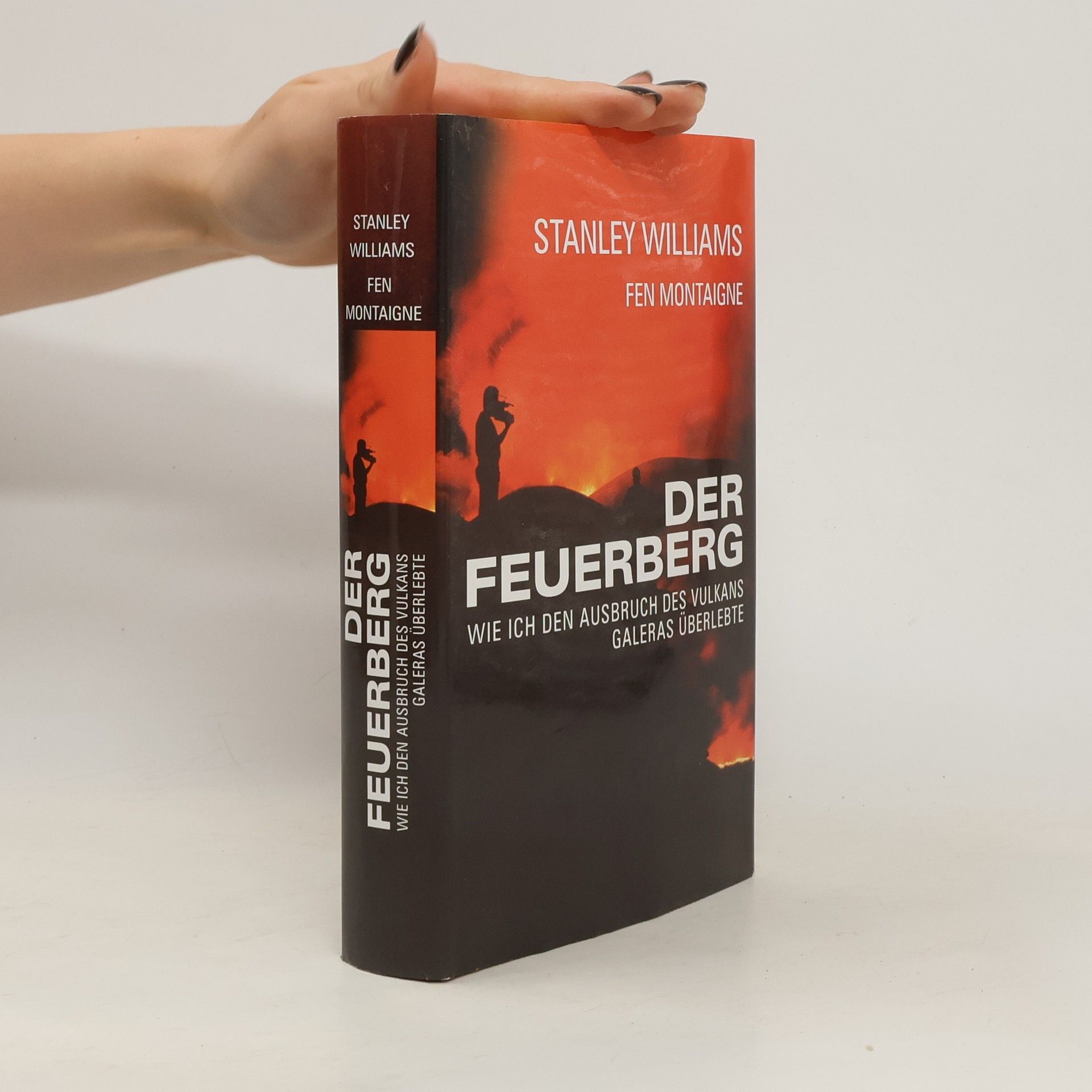 Stanley Williams Der Feuerberg