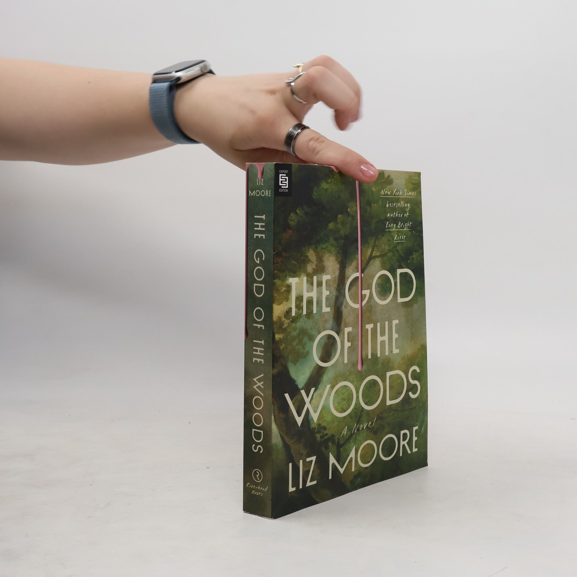 Liz Moore The God of the Woods