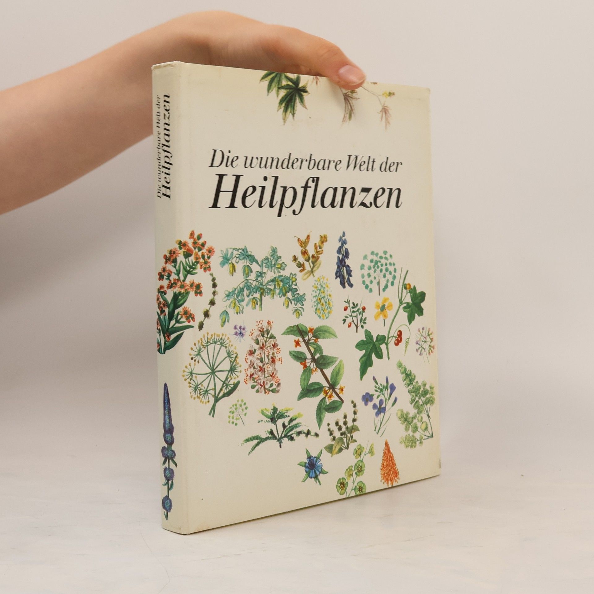 Autorenkollektiv Die wunderbare Welt der Heilpflanzen