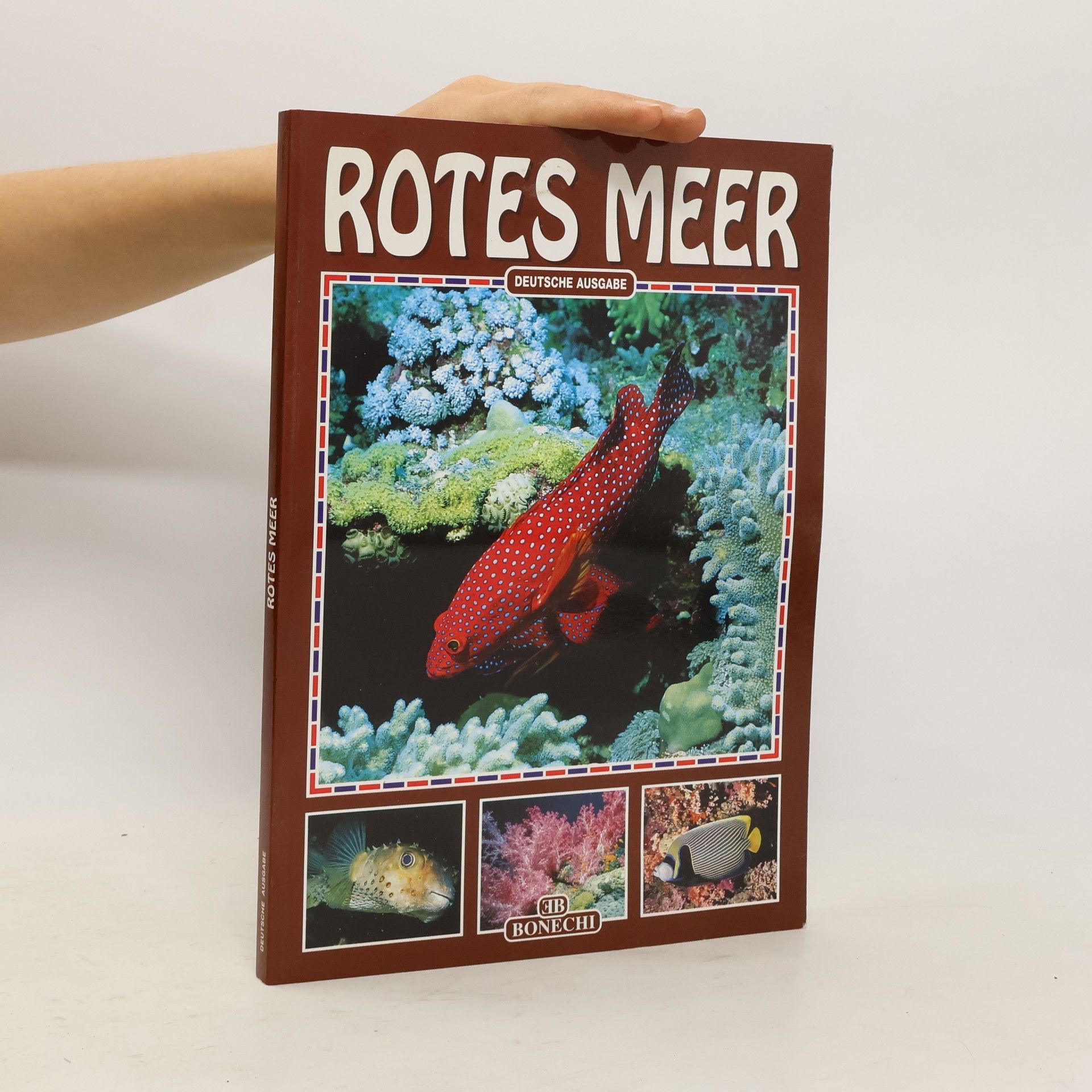 Andrea Ghisotti Rotes Meer