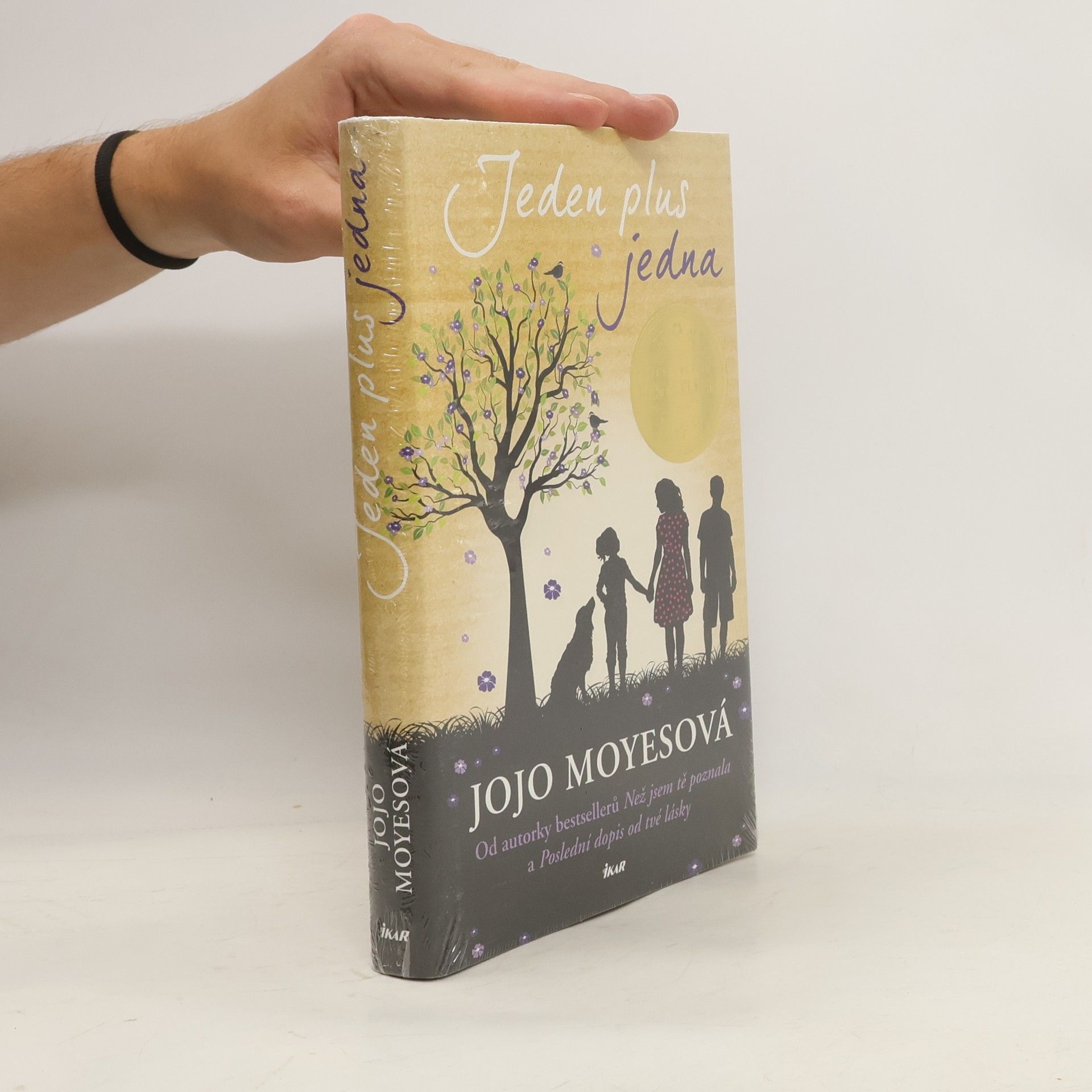 Jojo Moyes Jeden plus jedna