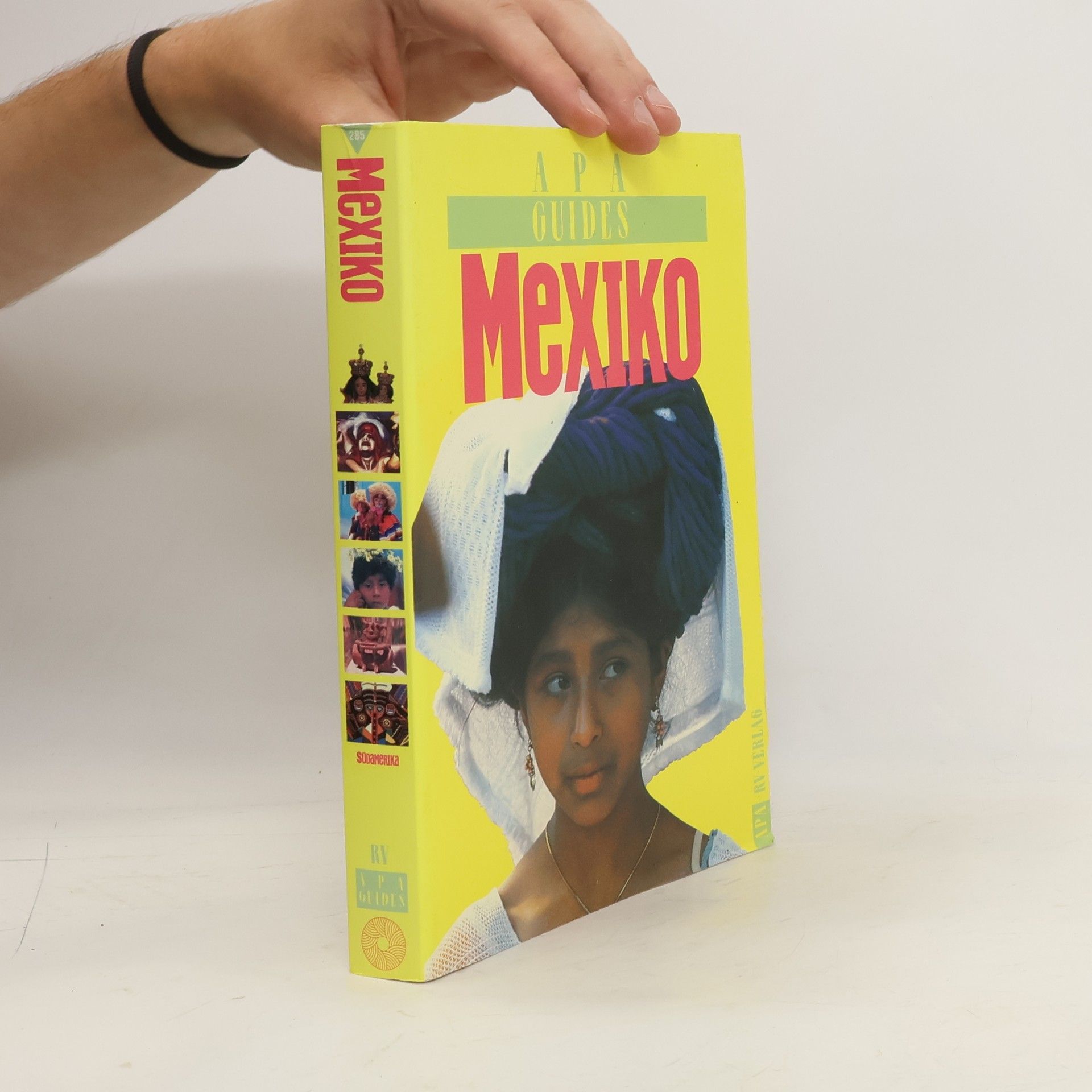 Collectif d'auteurs Apa Guides Mexiko