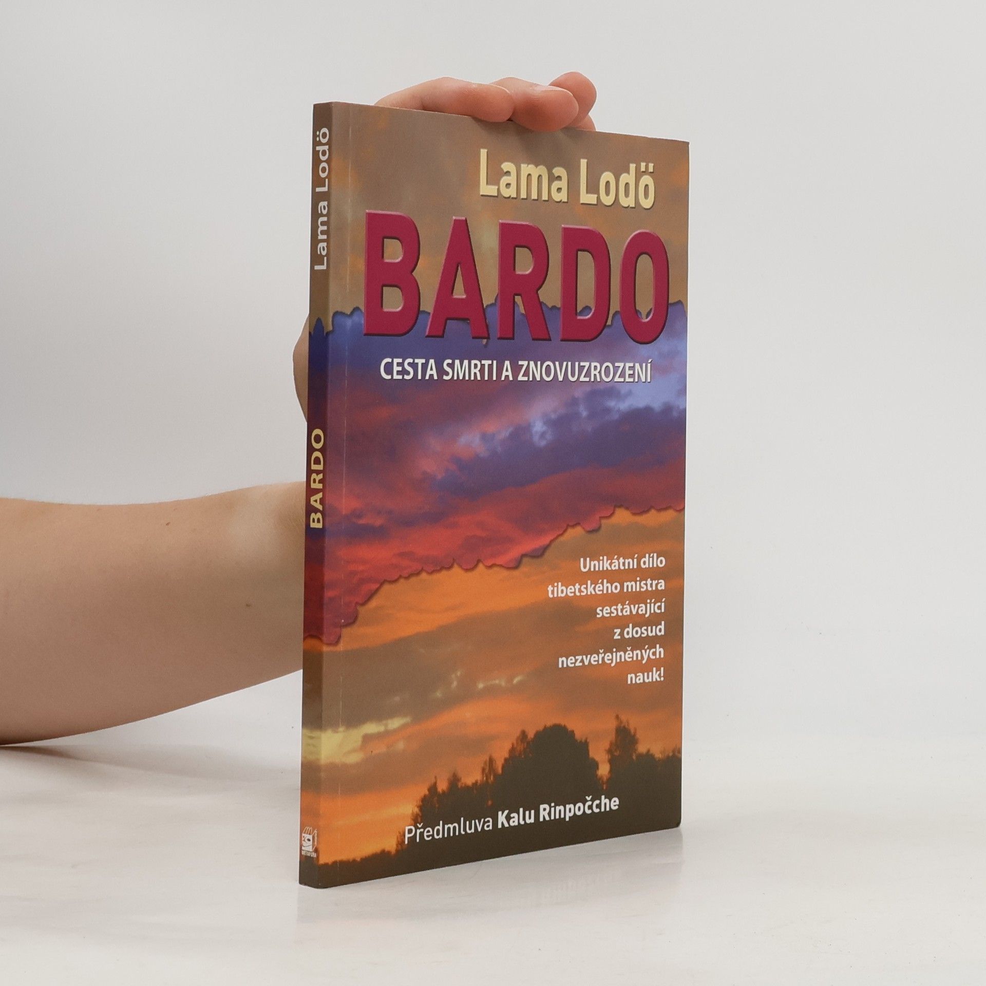 Lama Lodö Bardo : cesta smrti a znovuzrození