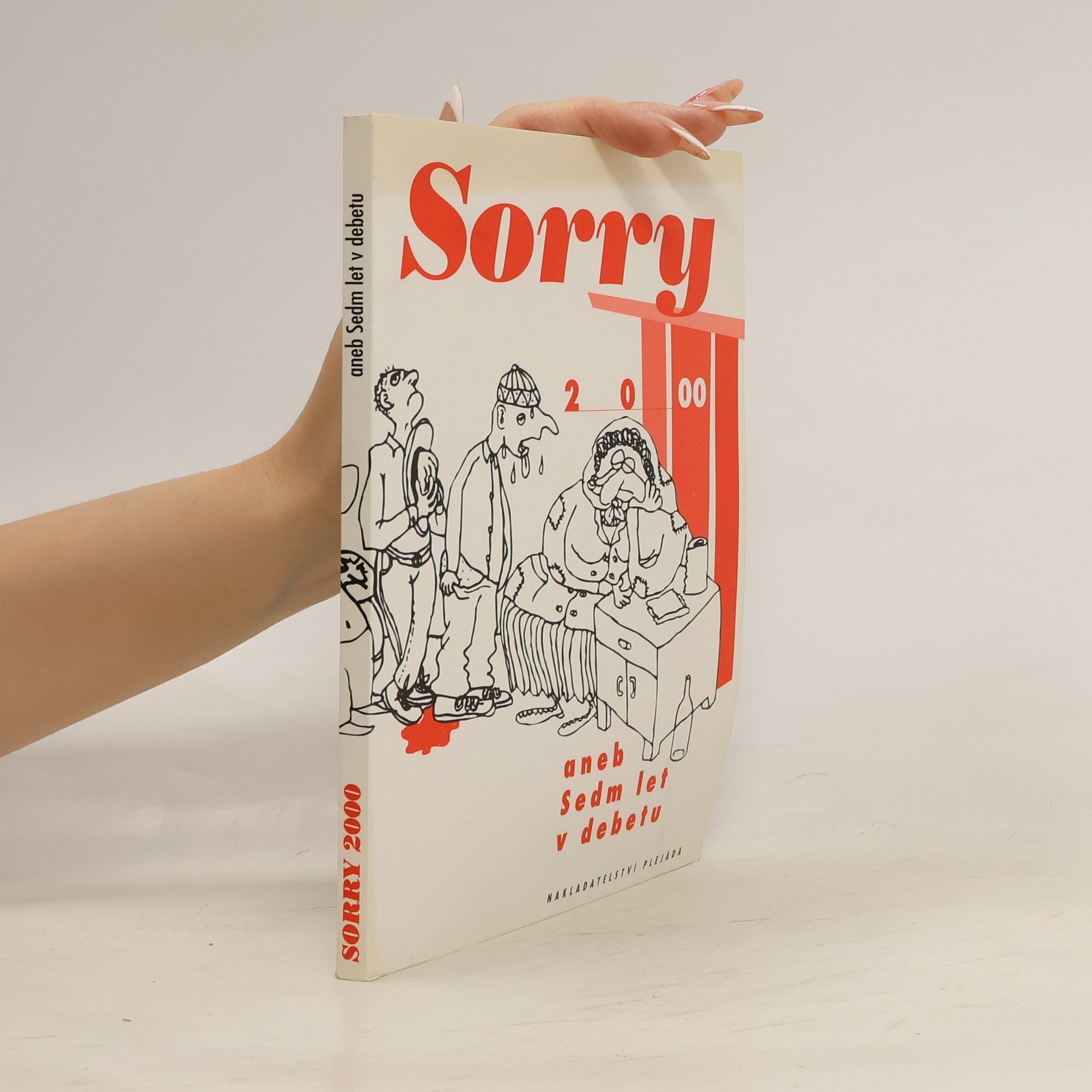 Sorry 2000 aneb Sedm let v debetu