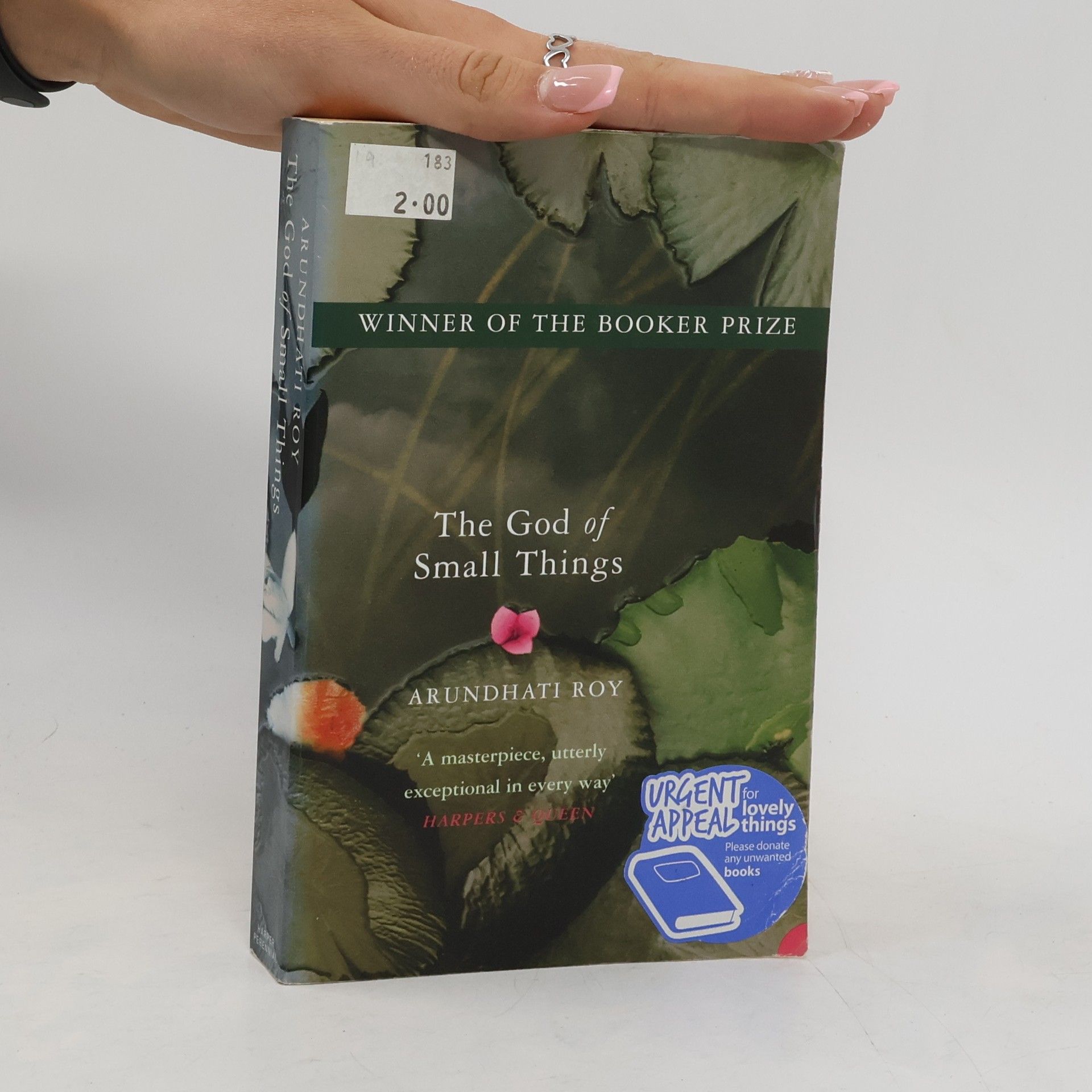 Arundhati Roy The god of small things