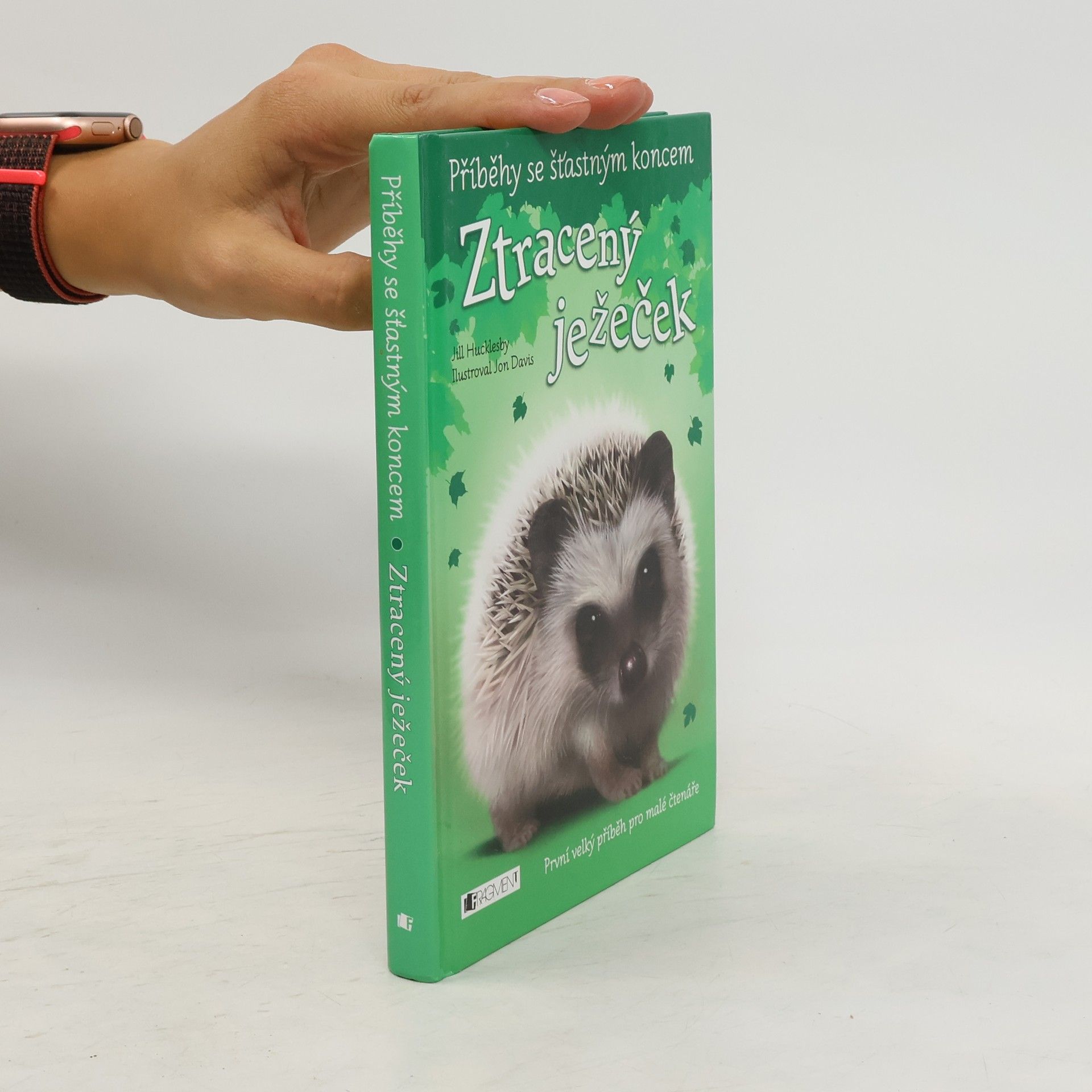 Jon Davis Ztracený ježeček