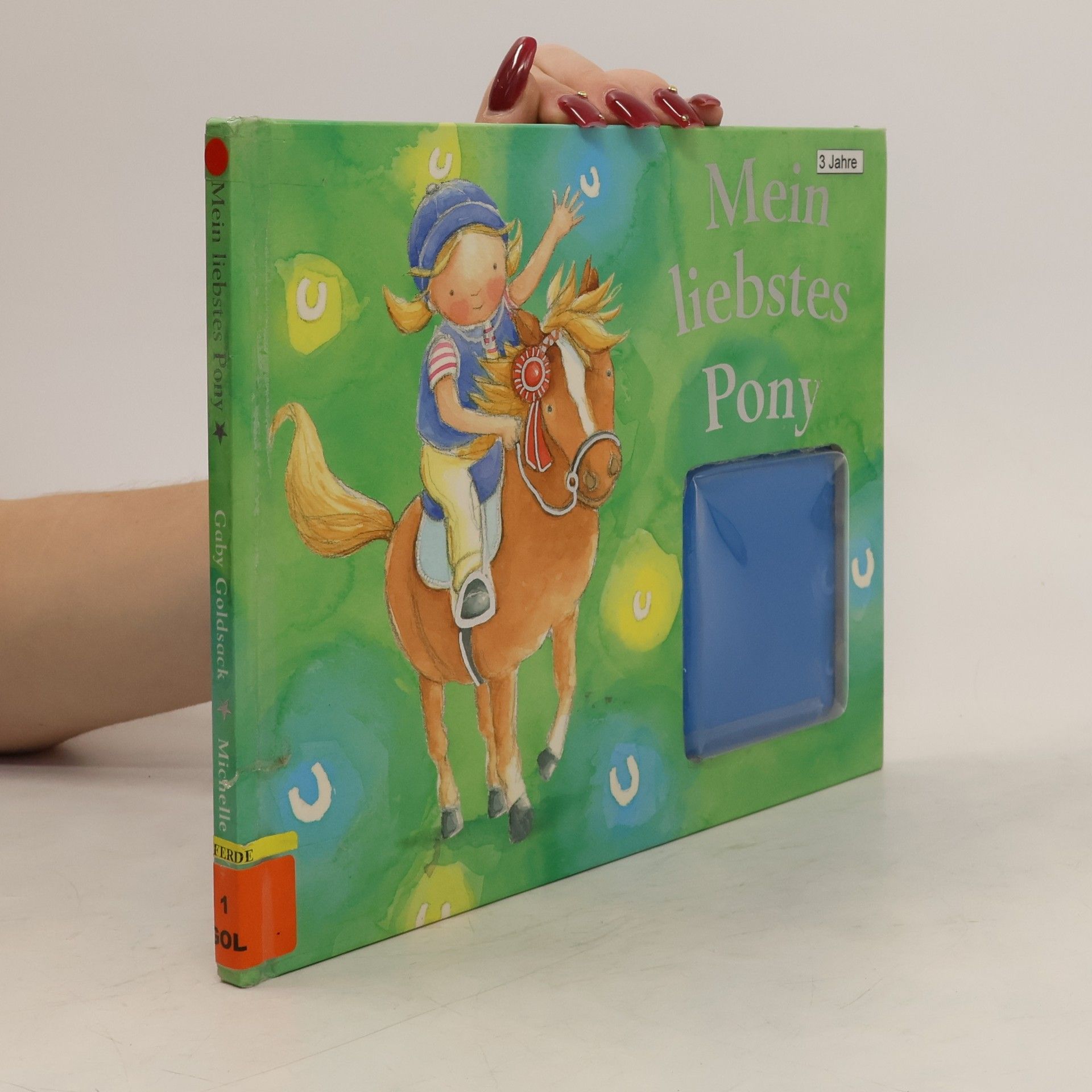 Gaby Goldsack Mein liebstes Pony