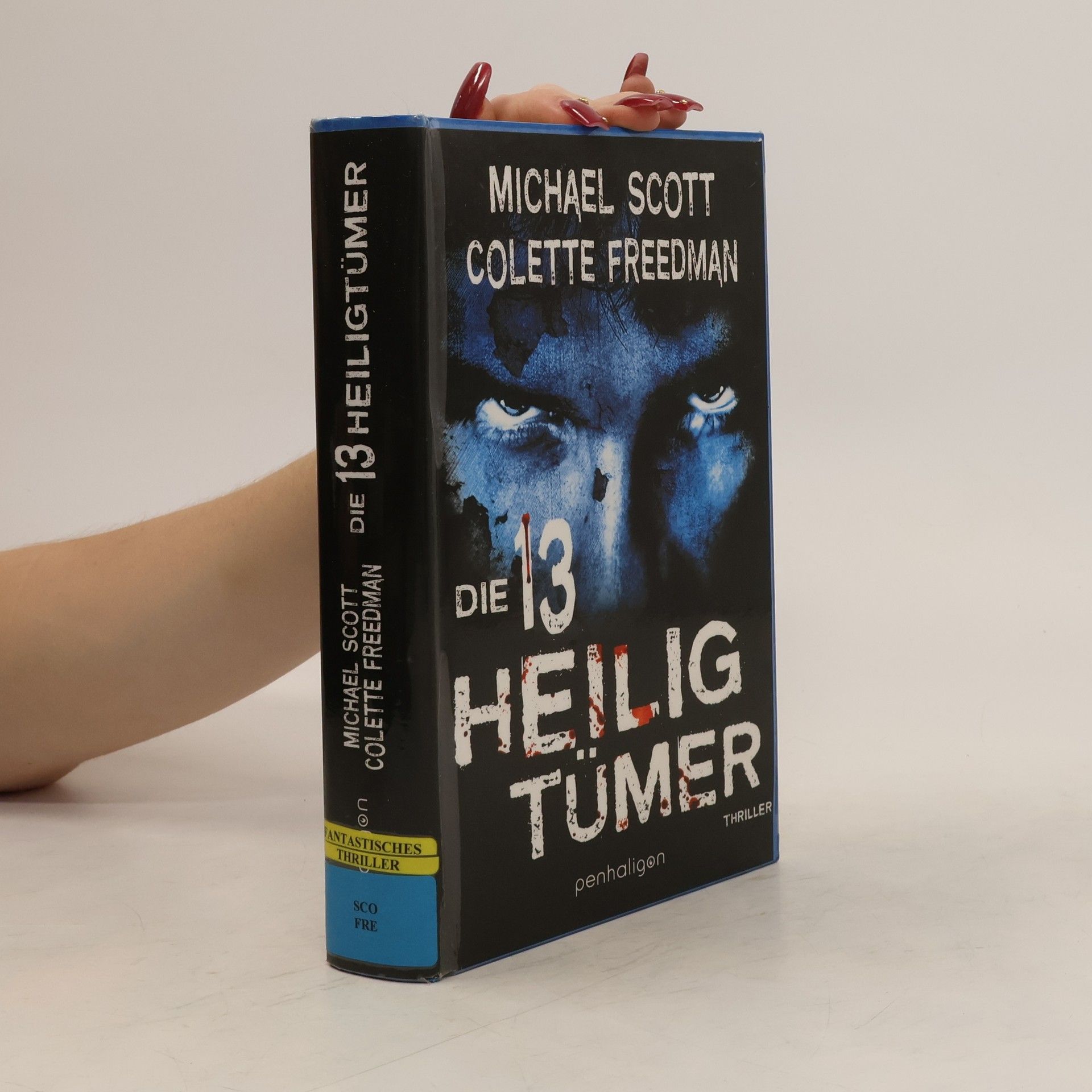 Michael Scott Die 13 Heiligtümer