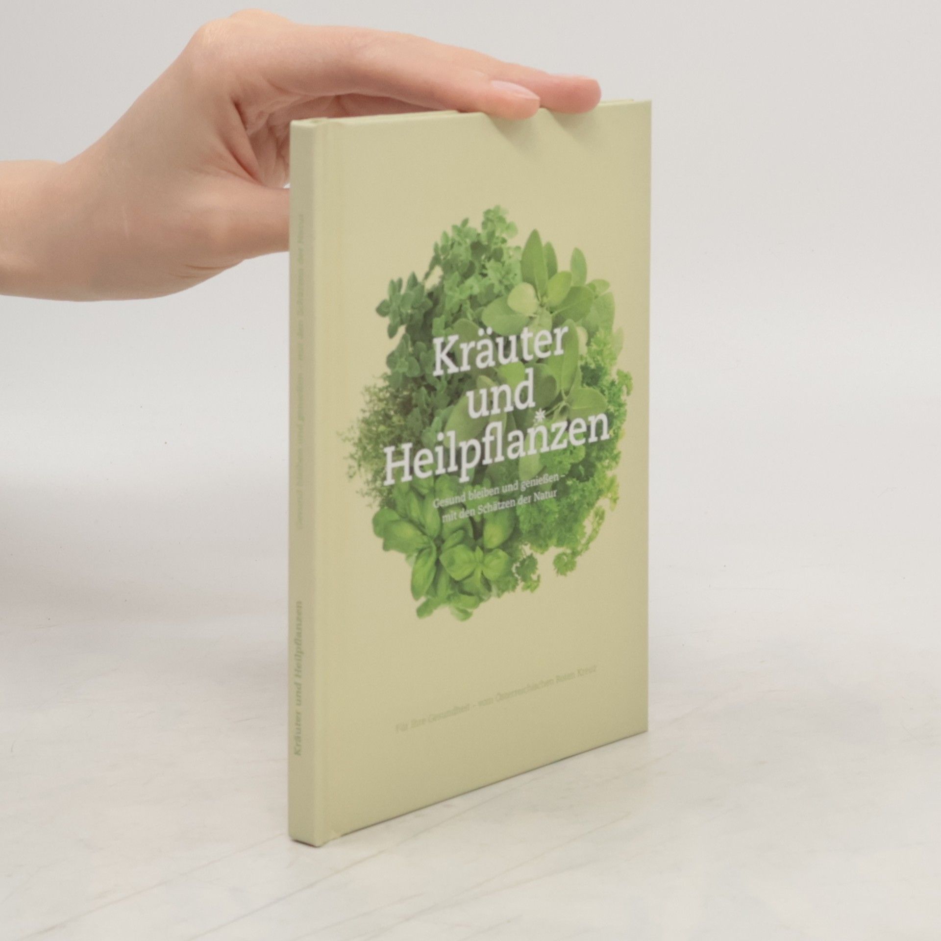 Autorenkollektiv Kräuter und Heilpflanzen