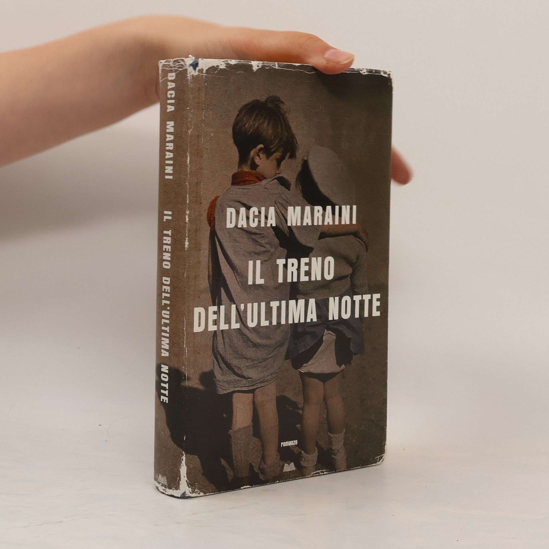 Dacia Maraini Il treno dell'ultima notte