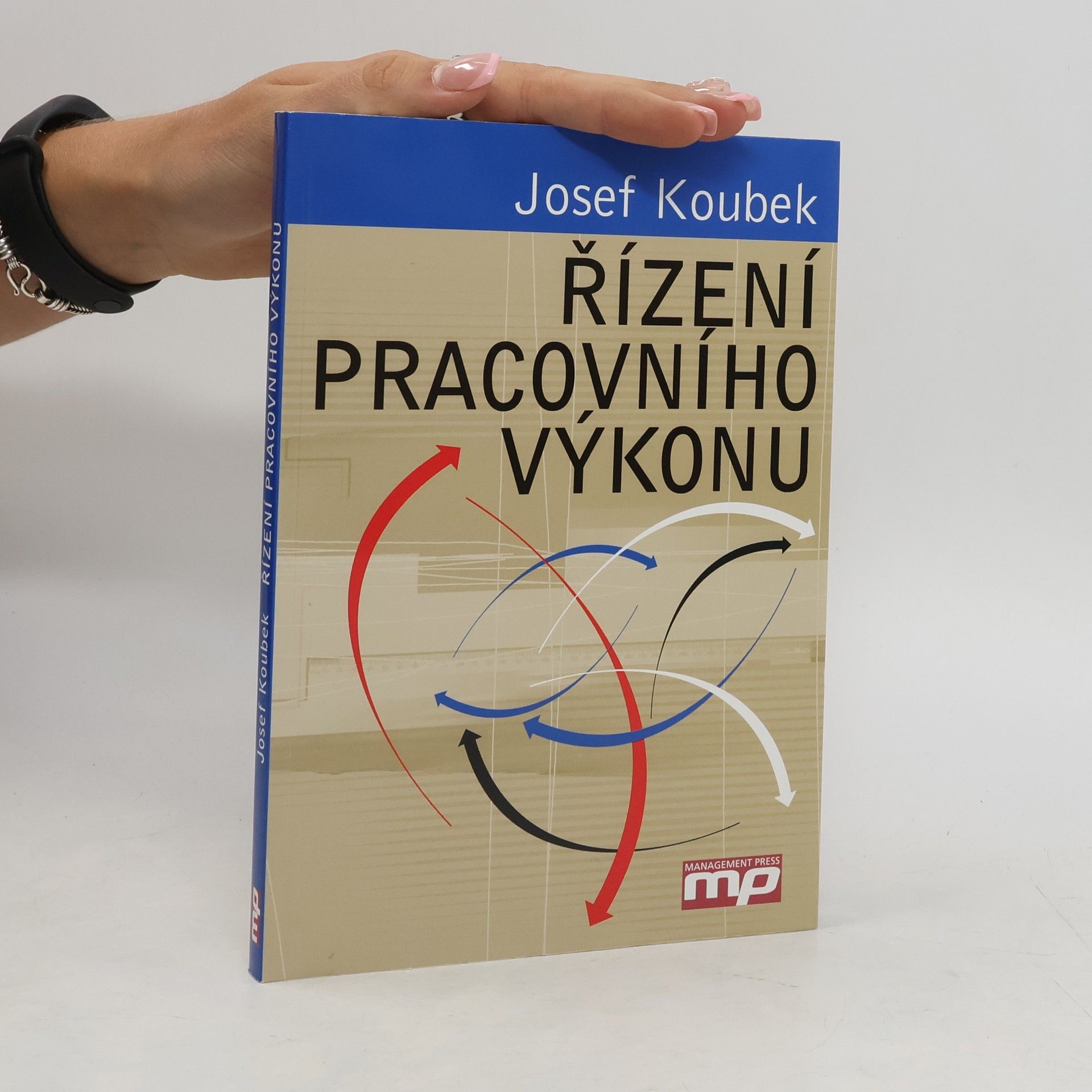 Josef Koubek Řízení pracovního výkonu