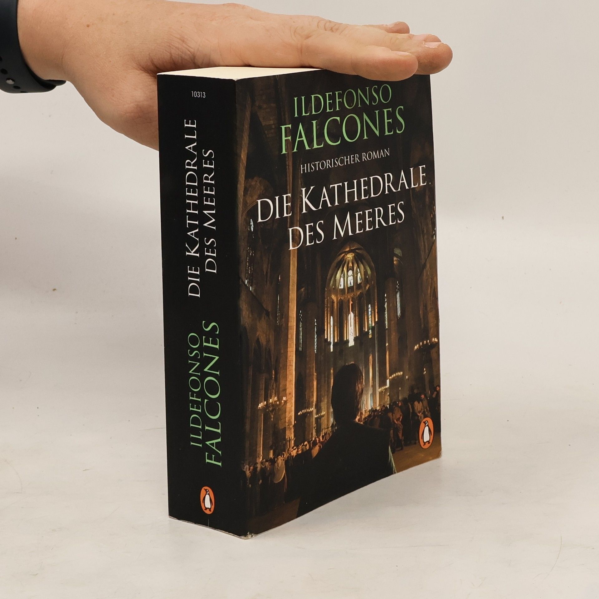 Ildefonso Falcones Die Kathedrale des Meeres
