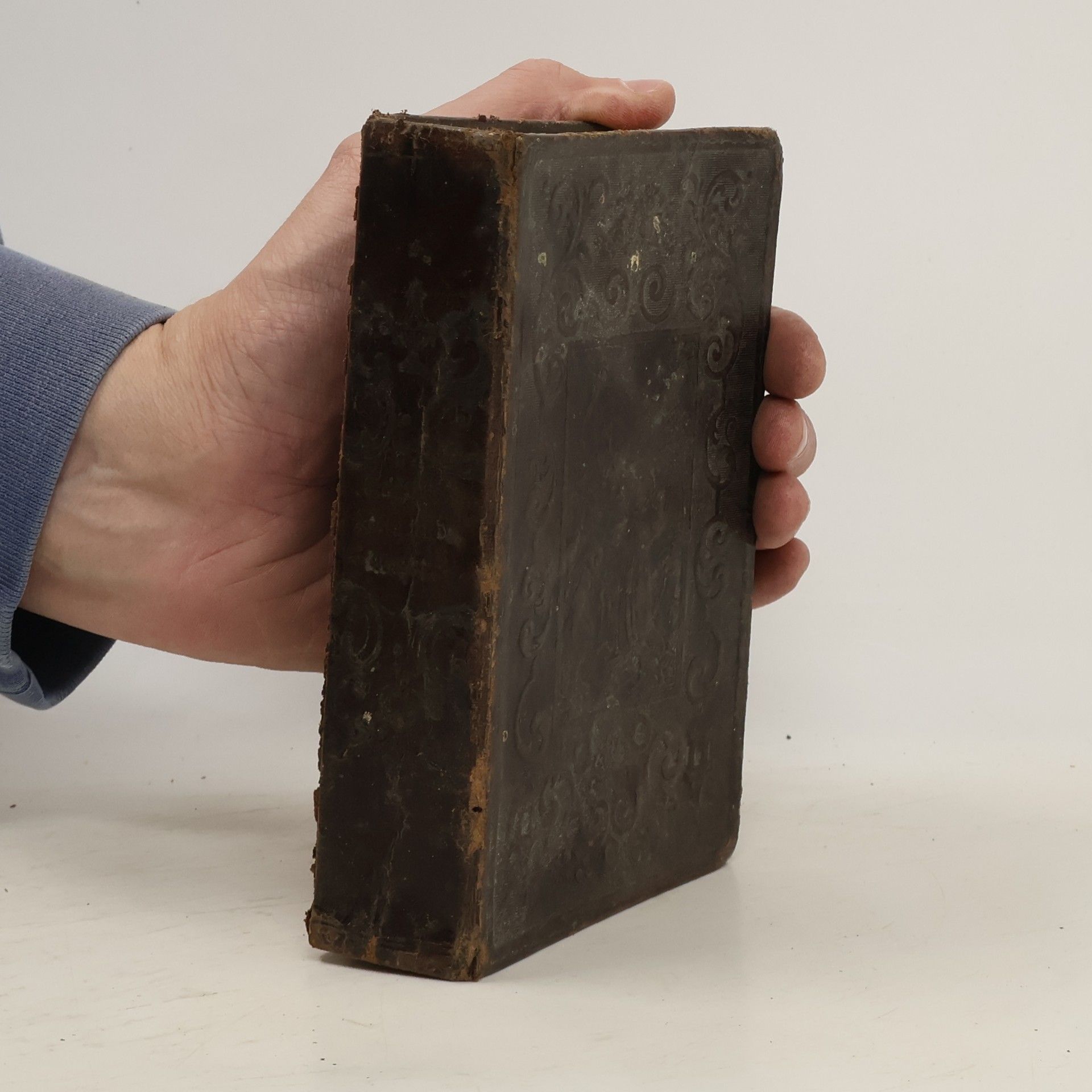 Michael Sinkel Das geistliche Leben in der Welt, oder: Der dritte Orden des heiligen seraphischen Vaters Franziskus von Assisi