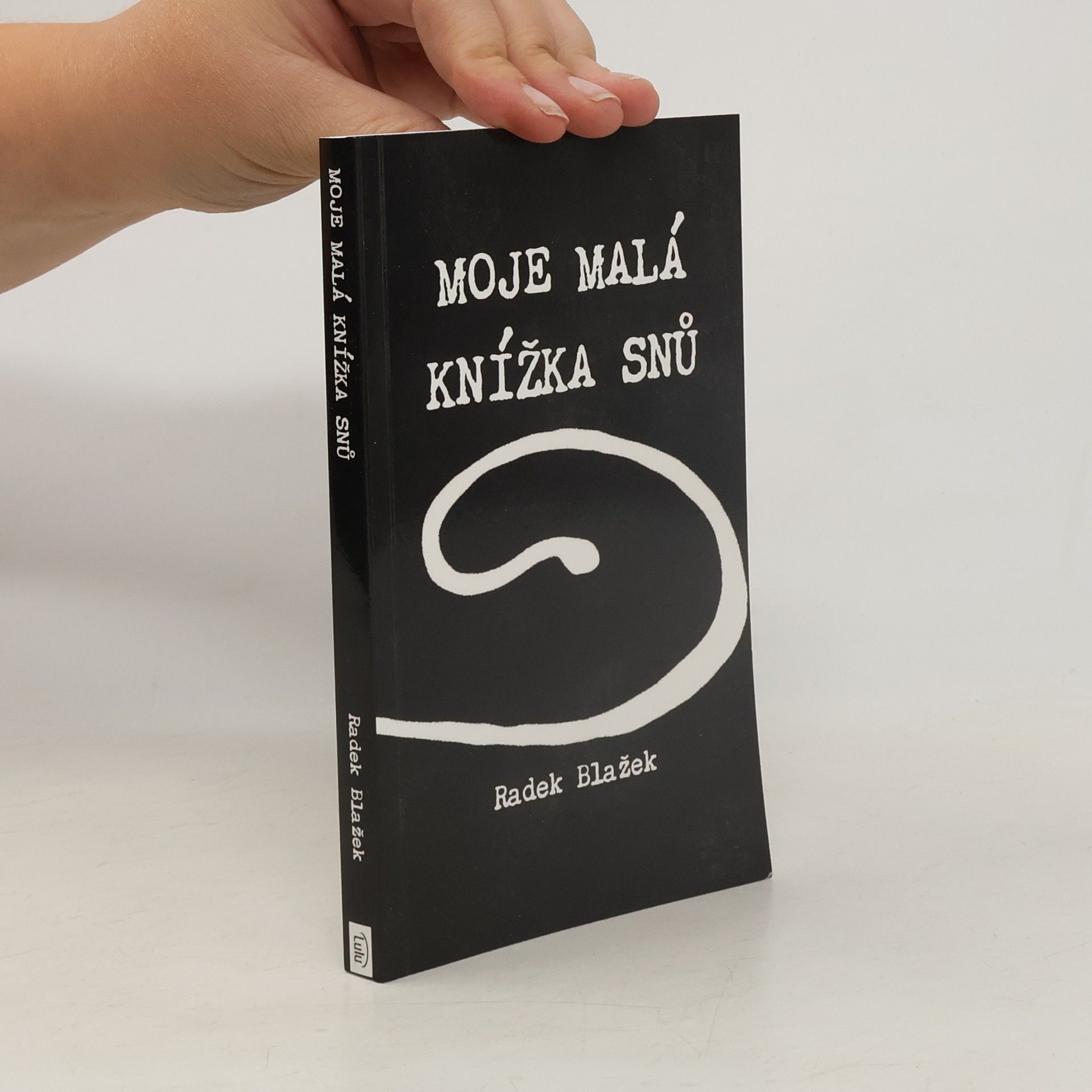 Radek Blažek Moje malá knížka snů