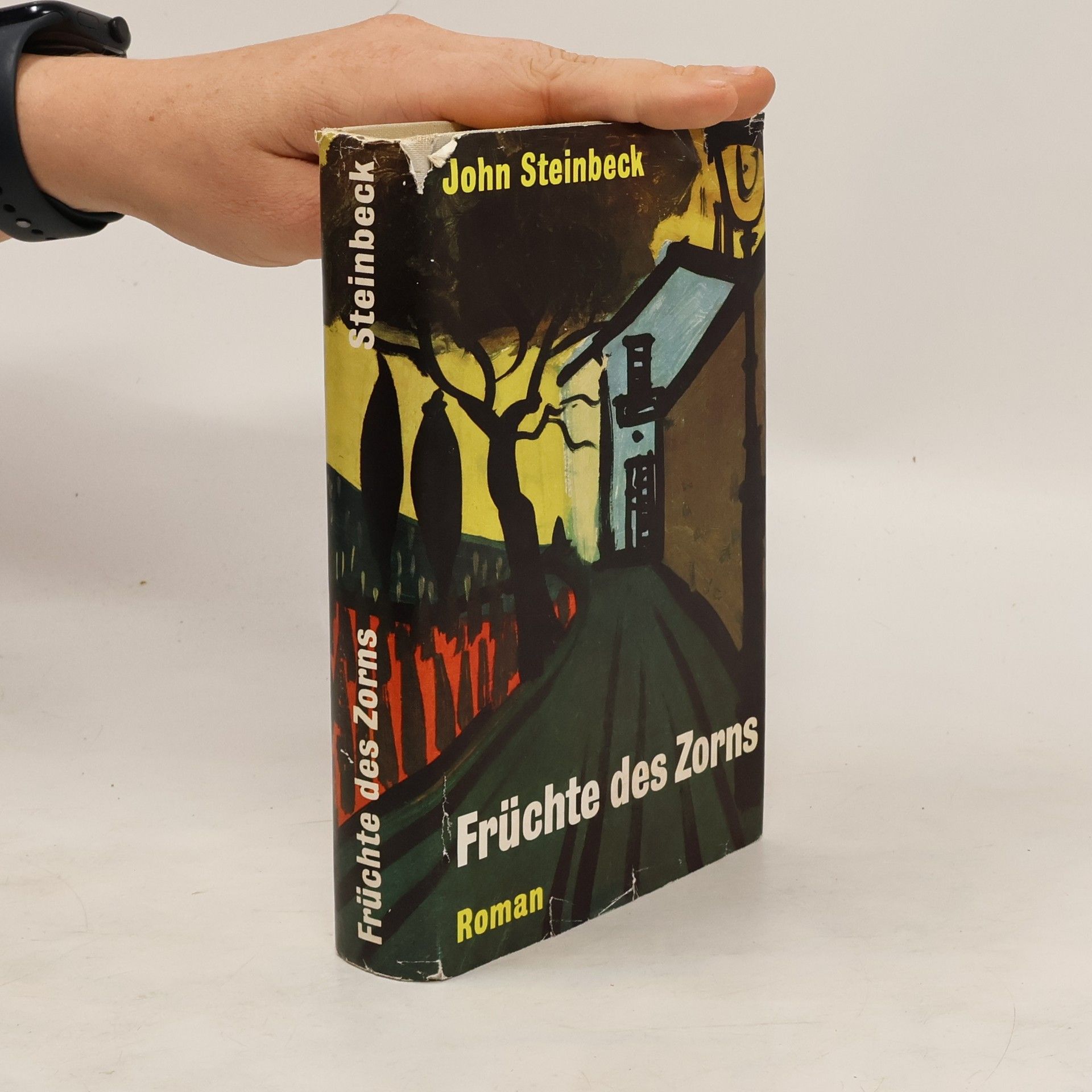John Steinbeck Früchte des Zorns