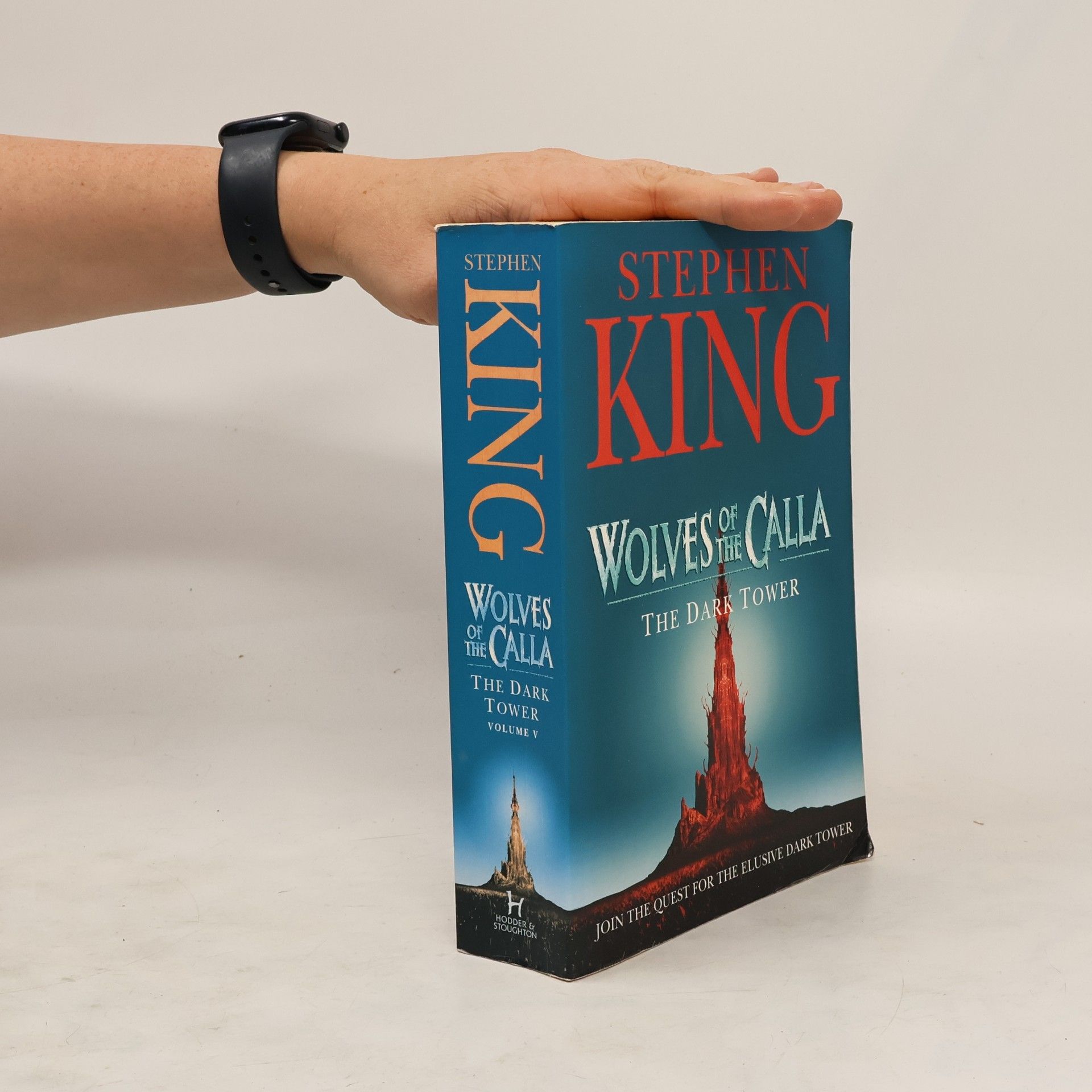 Stephen King The dark tower. V, Wolves of the Calla